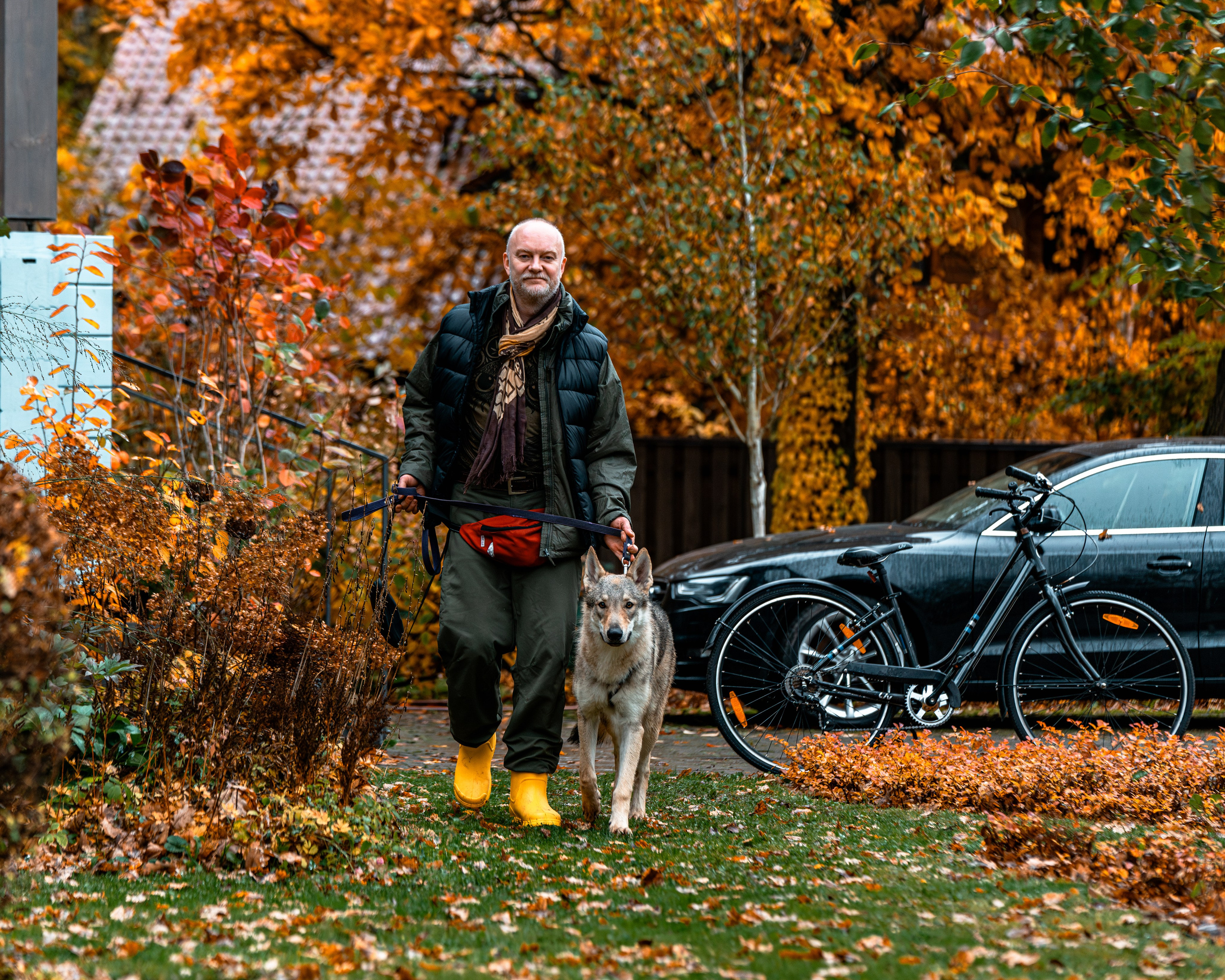 ФОТОПАМЯТЬ ВАШИХ ЭМОЦИЙ. Фотограф-анималист, семейный фотограф в Москве и Подмосковье. Фотосъёмка кинологических дисциплин