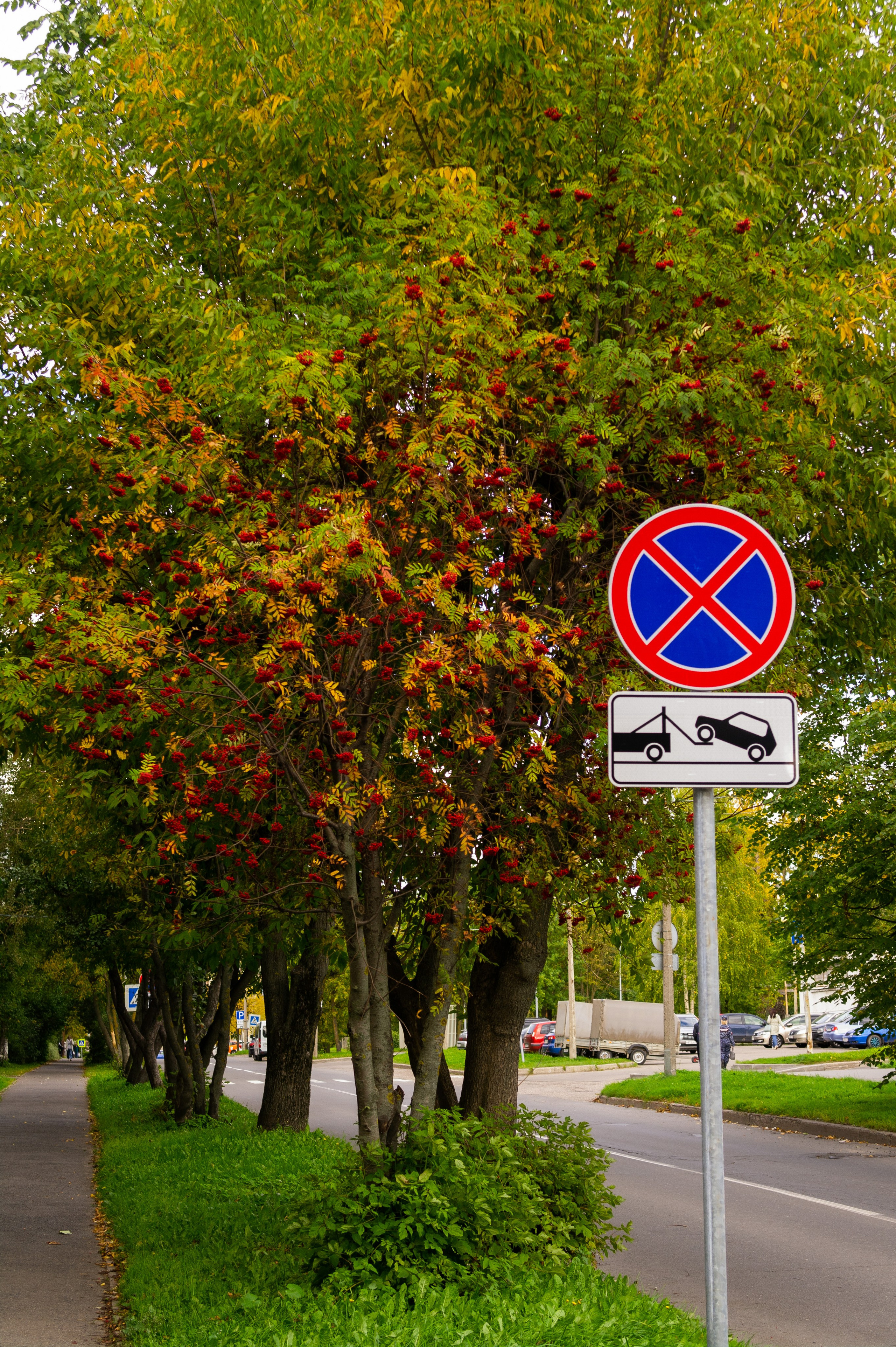 Сентябрь 2025. Den Mirov — Фотограф, Музыкант