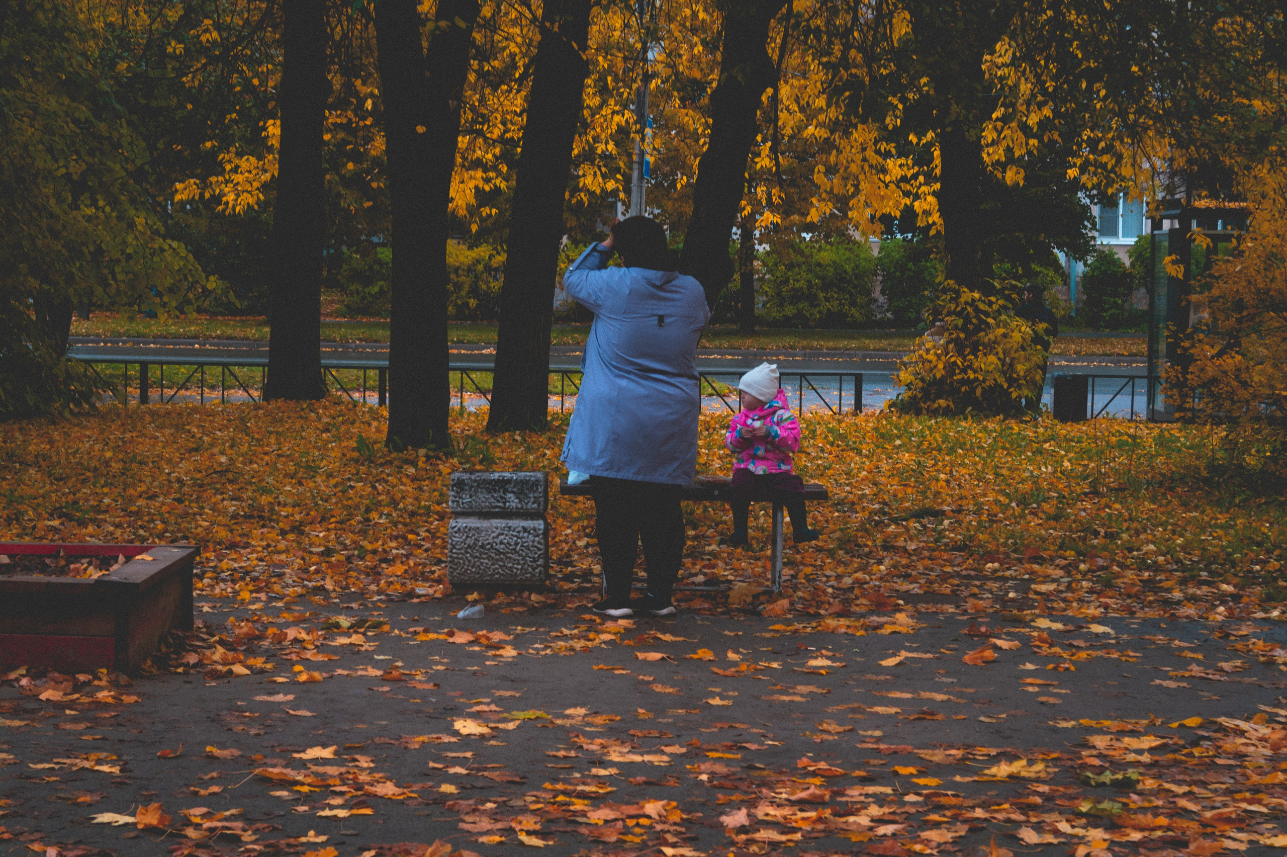 Октябрь 2025. Den Mirov — Фотограф, Музыкант