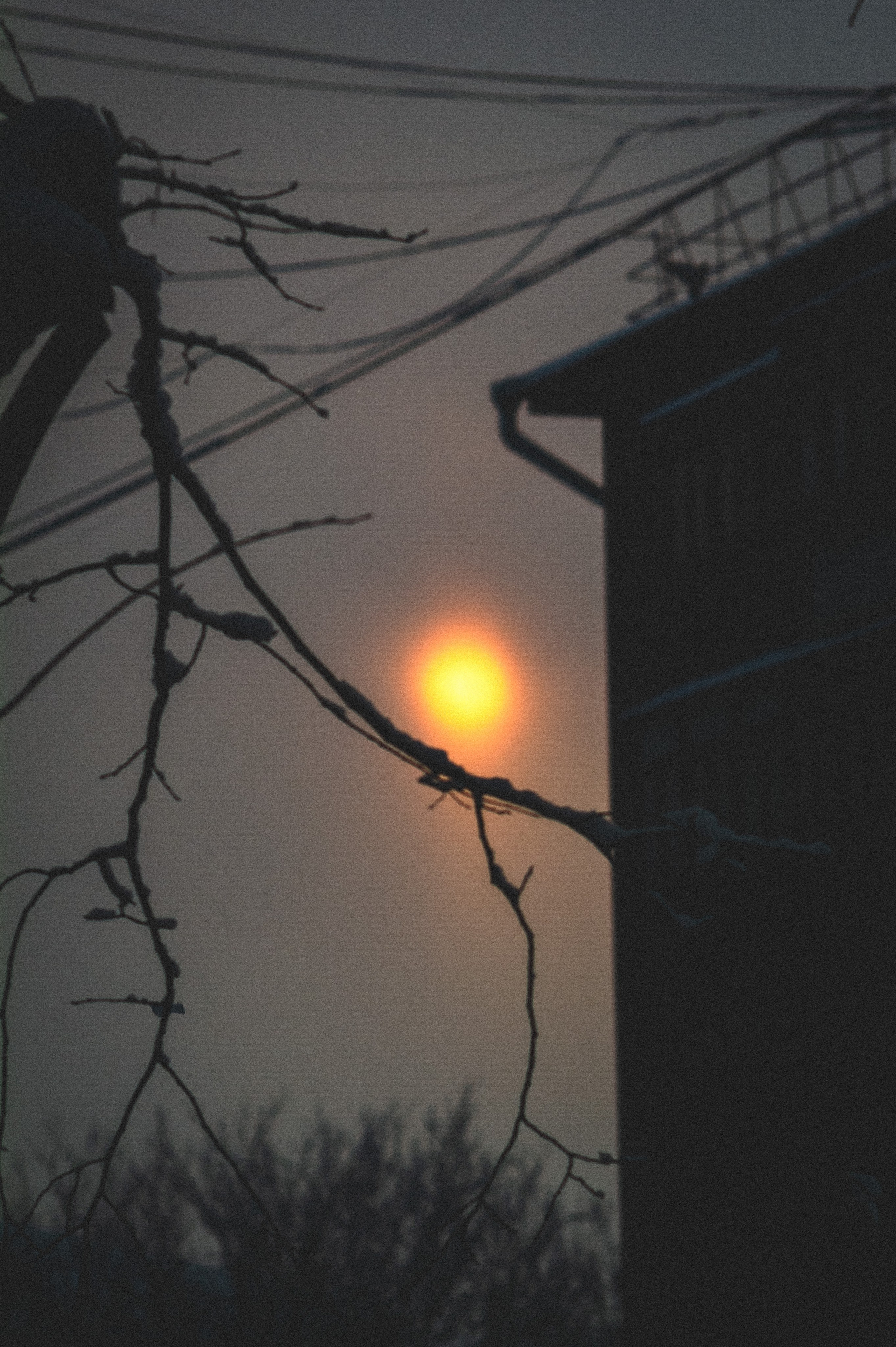 Еще один сет. Den Mirov — Фотограф, Музыкант