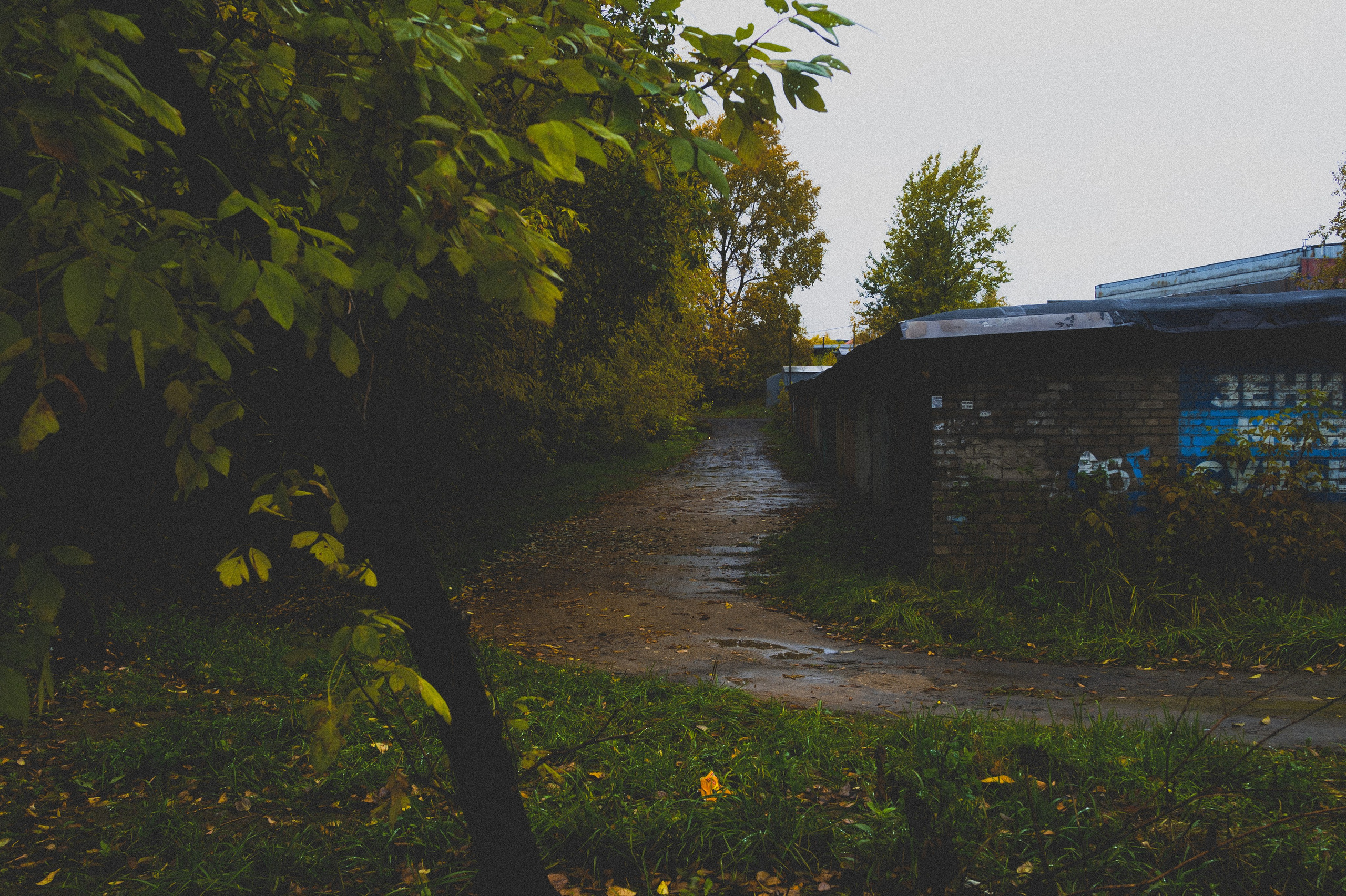 Октябрь 2025. Den Mirov — Фотограф, Музыкант