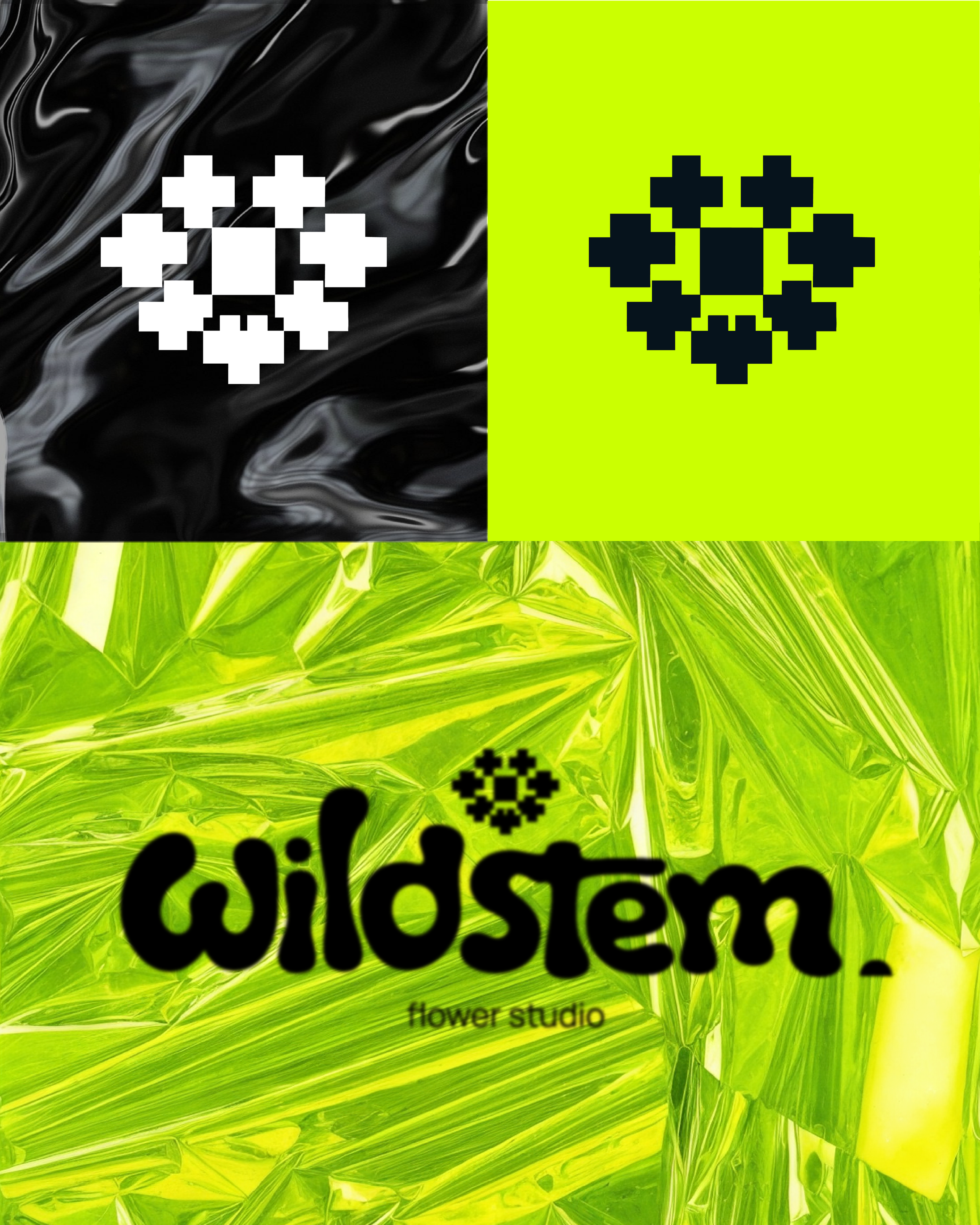 Wildstem — студия флористики. Лина Ивахник, графический и бренд — дизайнер