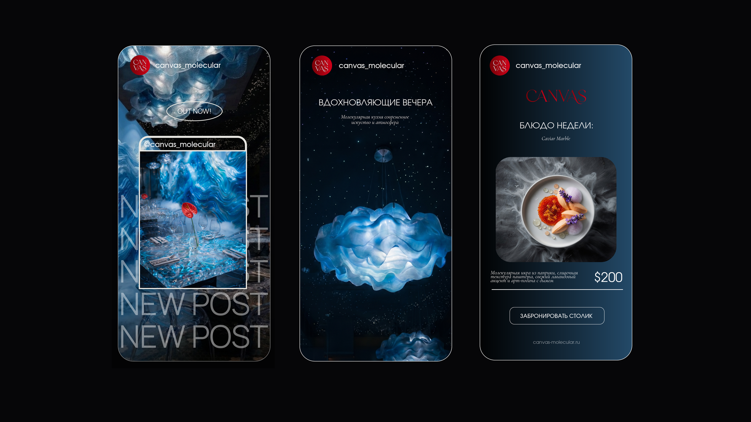 CANVAS — ресторан молекулярной кухни. Лина Ивахник, графический и бренд — дизайнер