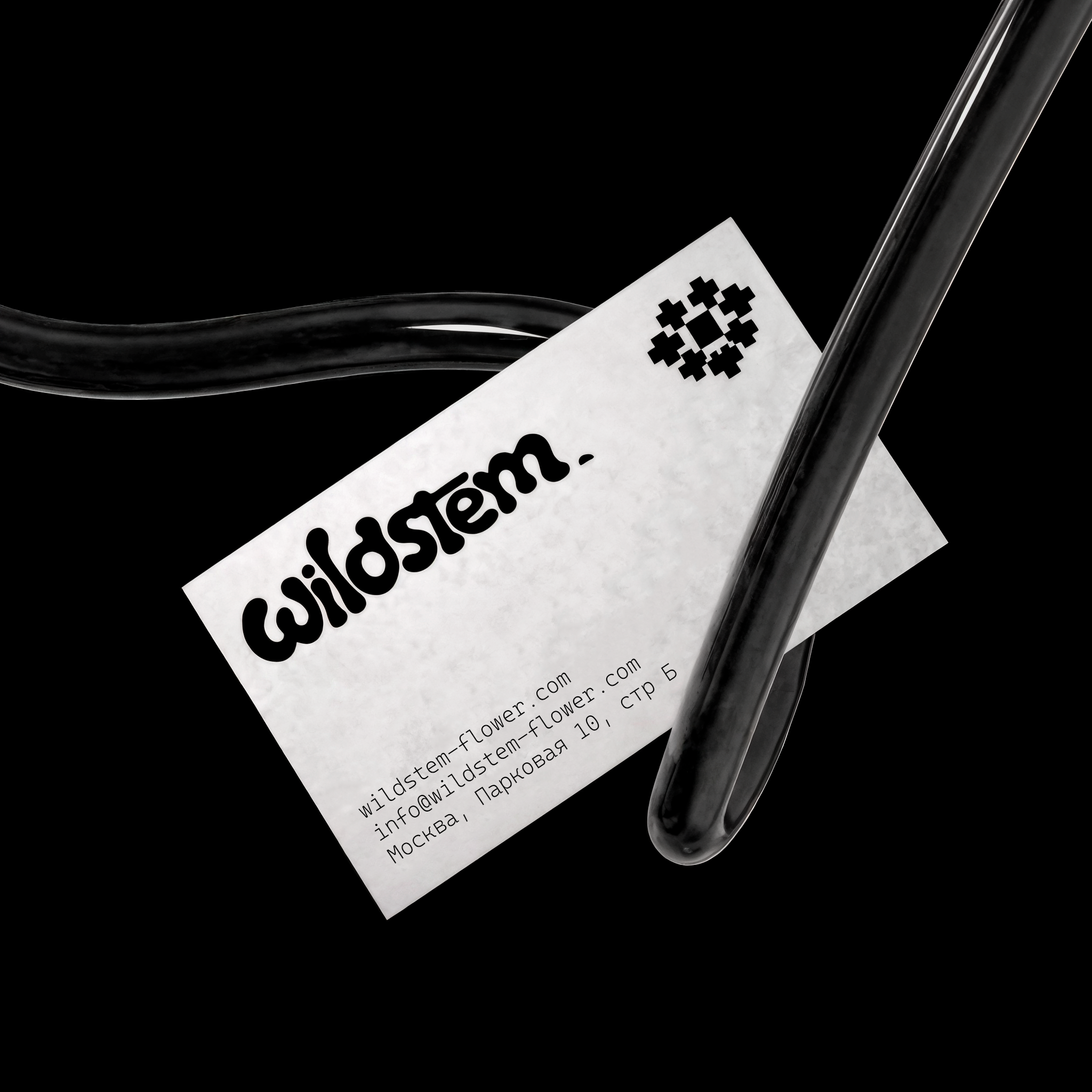 Wildstem — студия флористики. Лина Ивахник, графический и бренд — дизайнер
