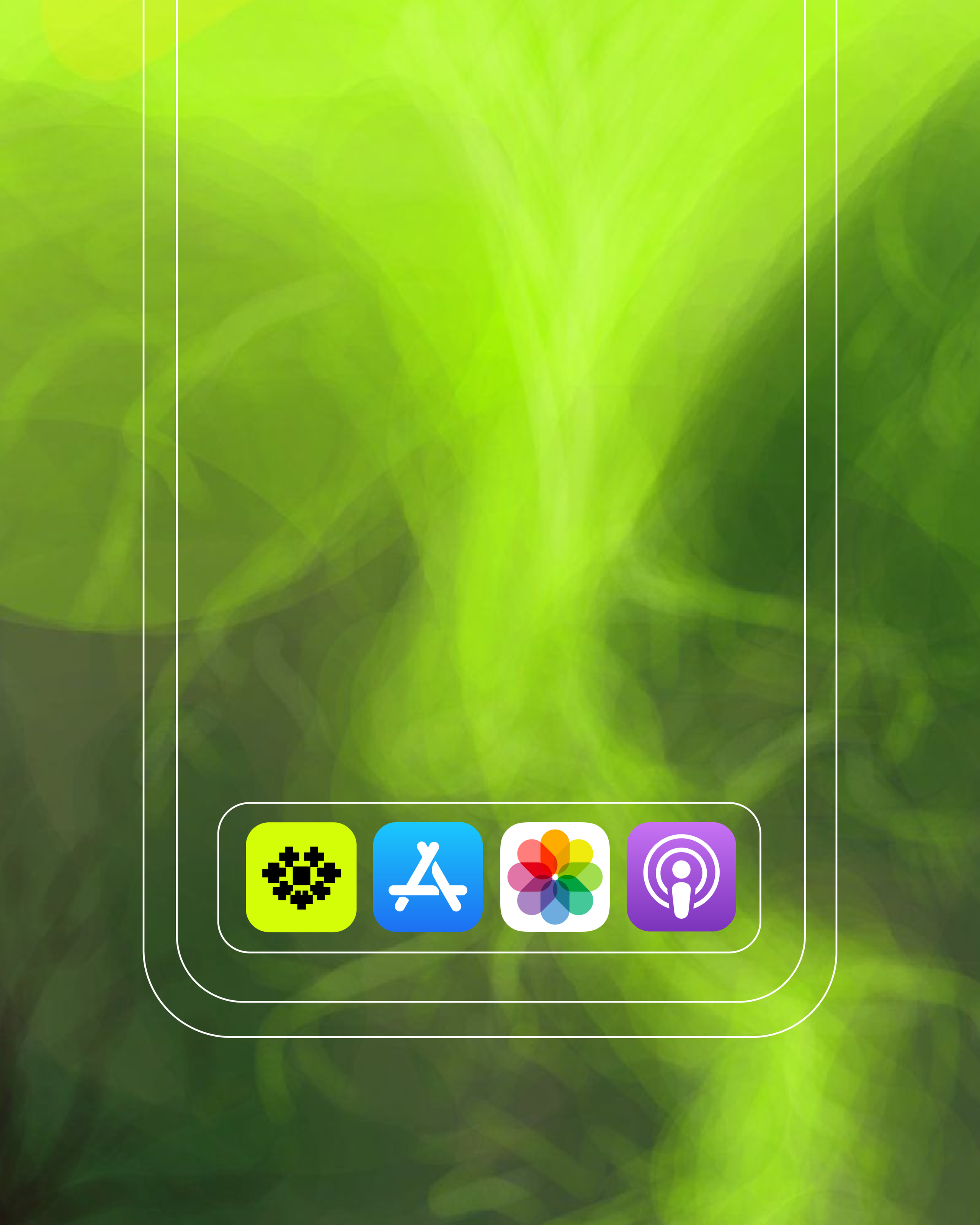 Wildstem — студия флористики. Лина Ивахник, графический и бренд — дизайнер