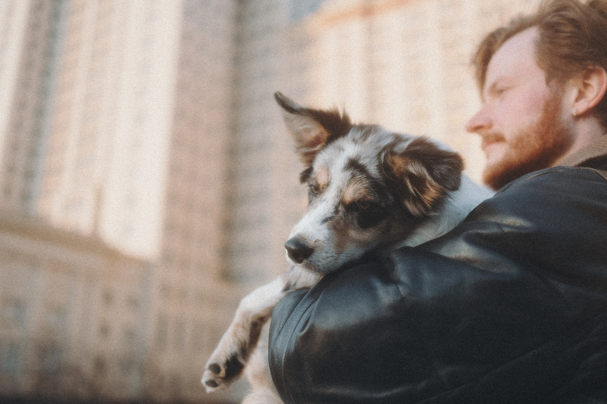 Балу и Илья. Фотограф анималист Анастасия Пикей