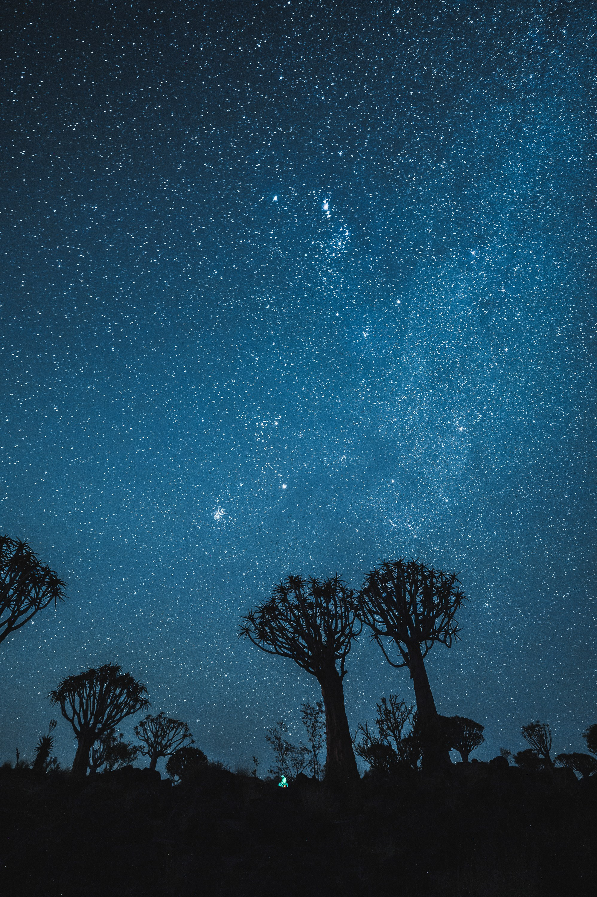 НАМИБИЯ. Роадтрип