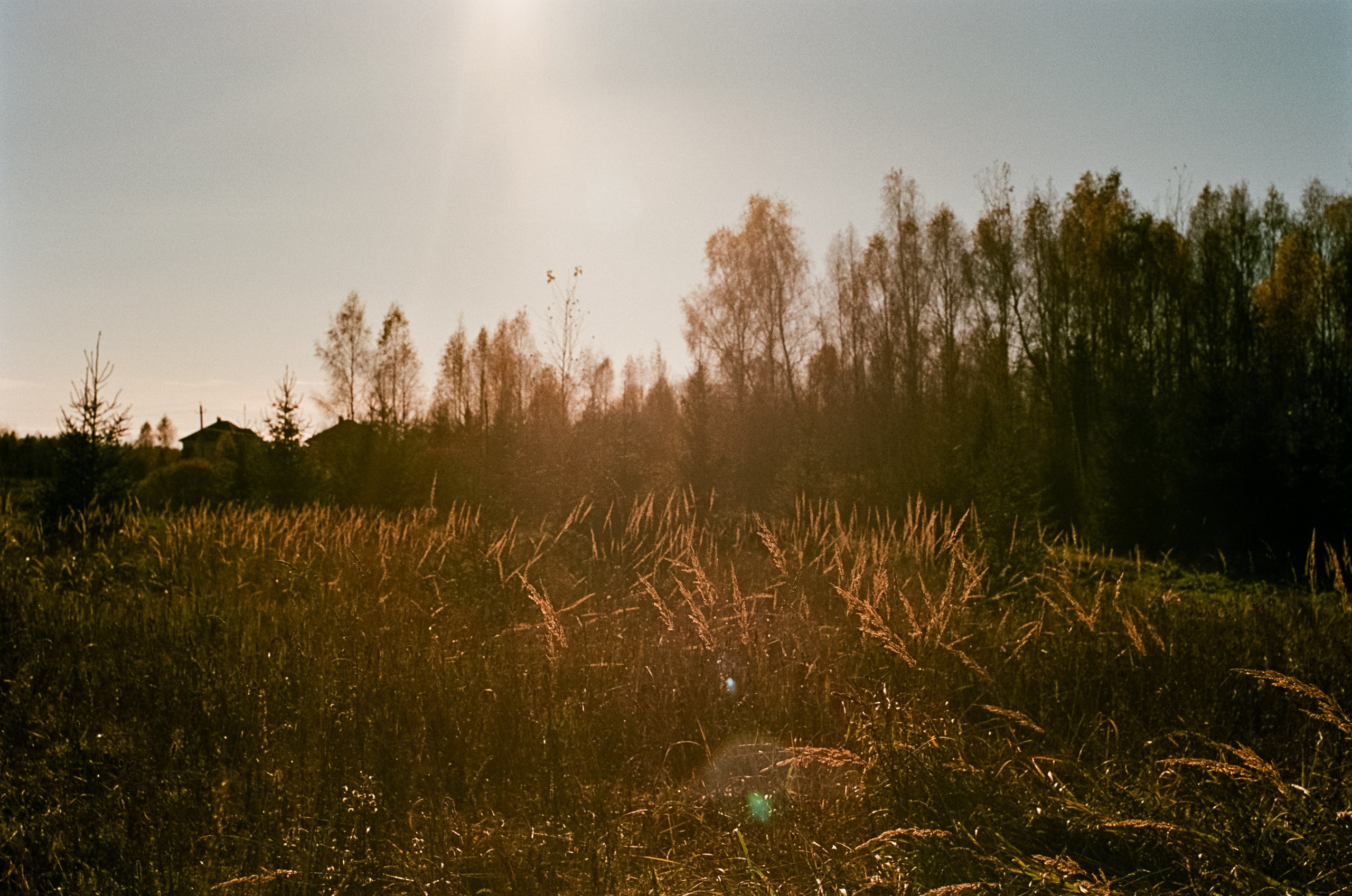 Nikon F100 — Mamiya (645) Sekor C 45 mm f2.8 и Macro 80 mm f/4