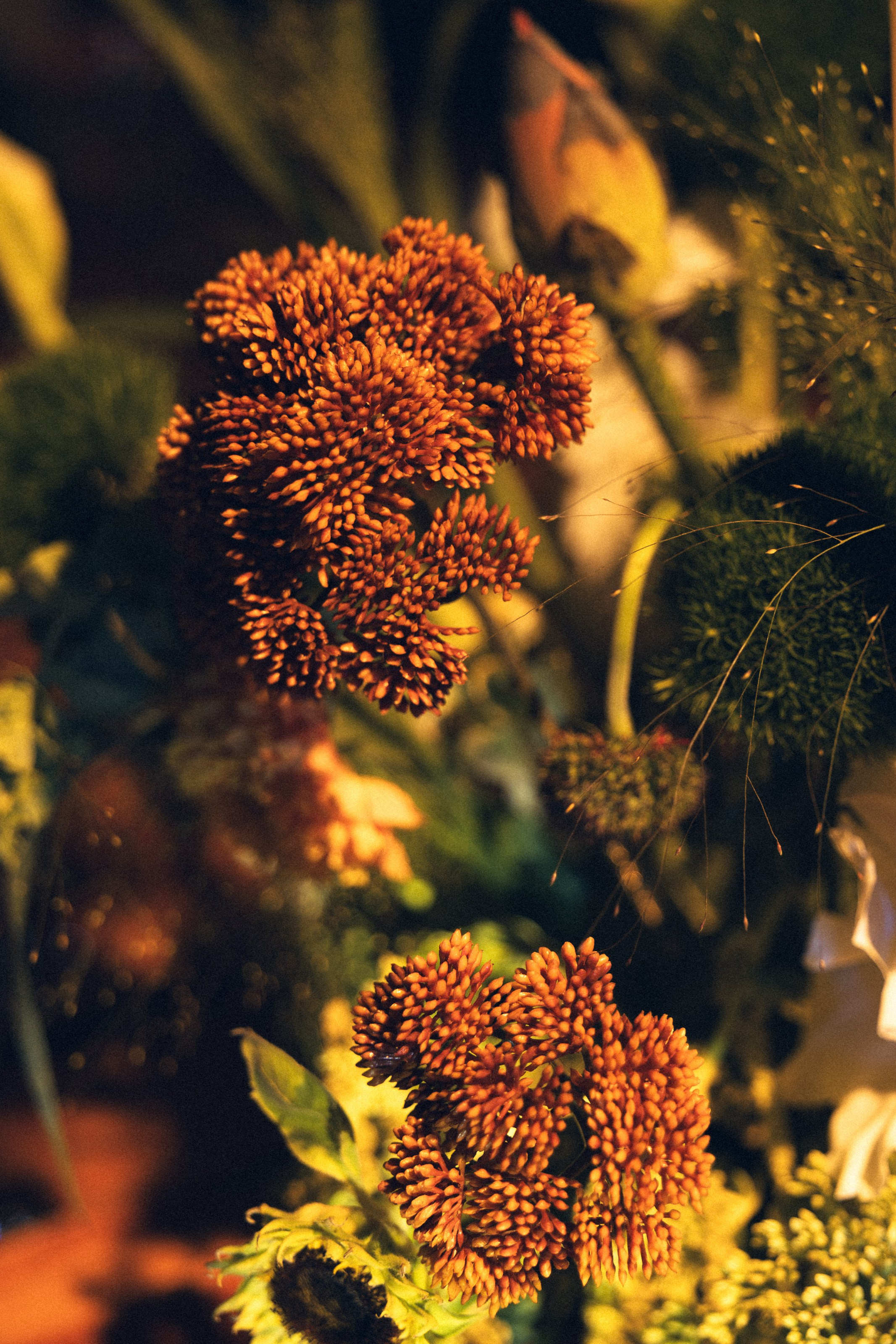 Влад и Ева. Свадебный фотограф в Ростове — на — Дону Александра Пивоварова