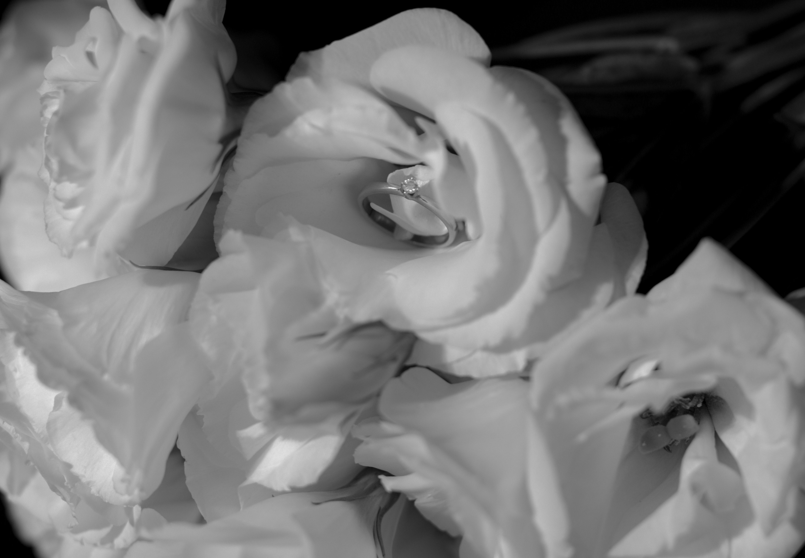 Анастасия и Павел Свадебная фотосессия Славянск на кубани. Фотограф Славянск на кубани Краснодар