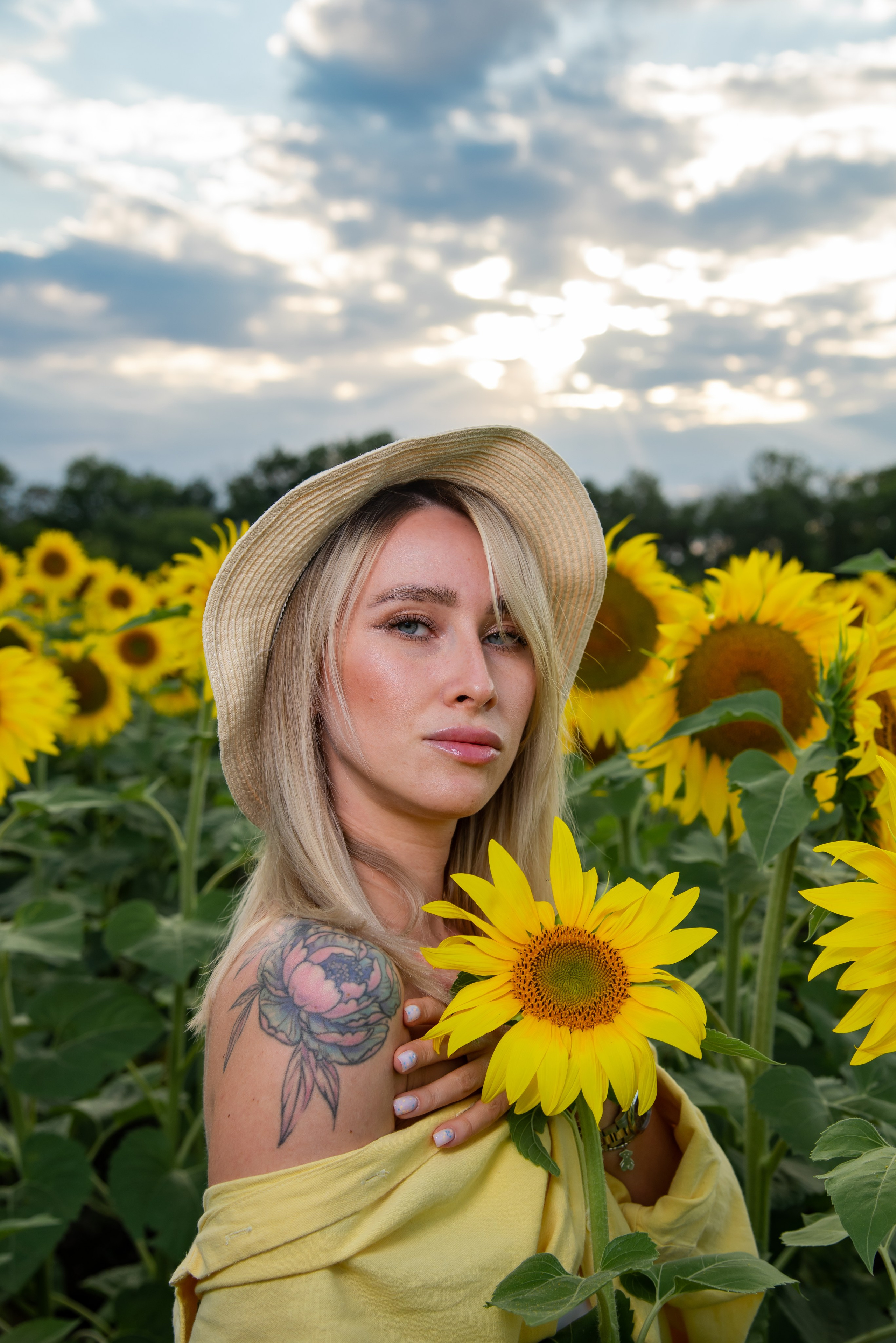 Подсолнух. Фотограф Галина Нестерова