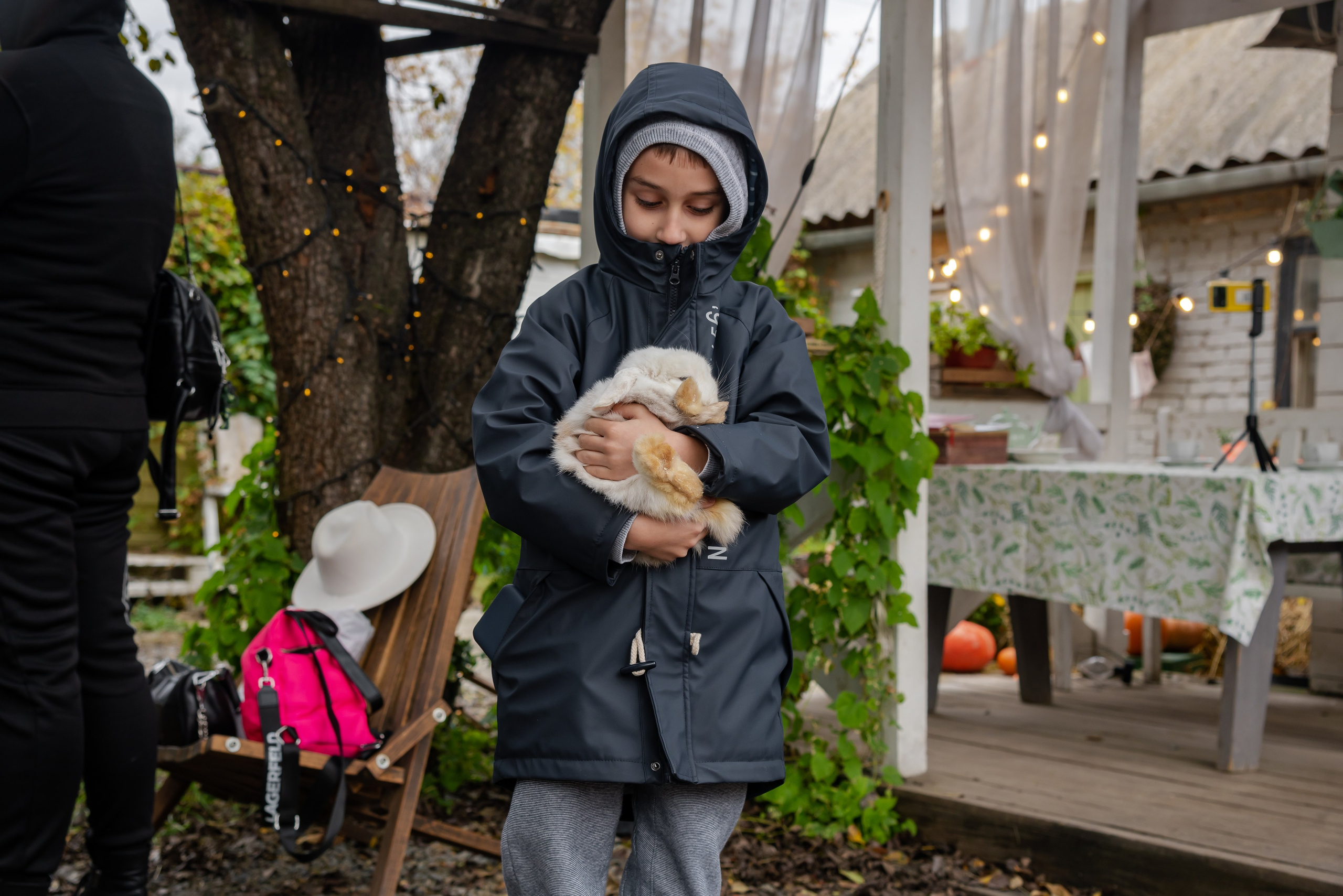 Авакадо. Фотограф Галина Нестерова
