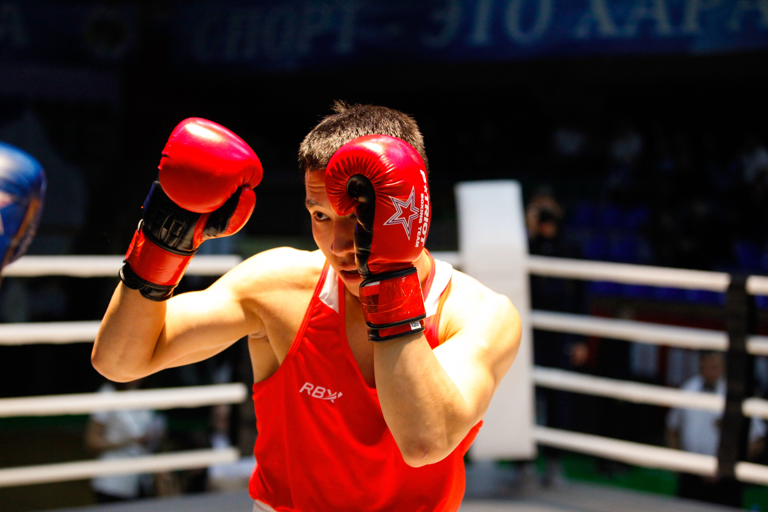 БОКС. Фото. Спортивный фотограф, трансляция, звук и свет в Новосибирске