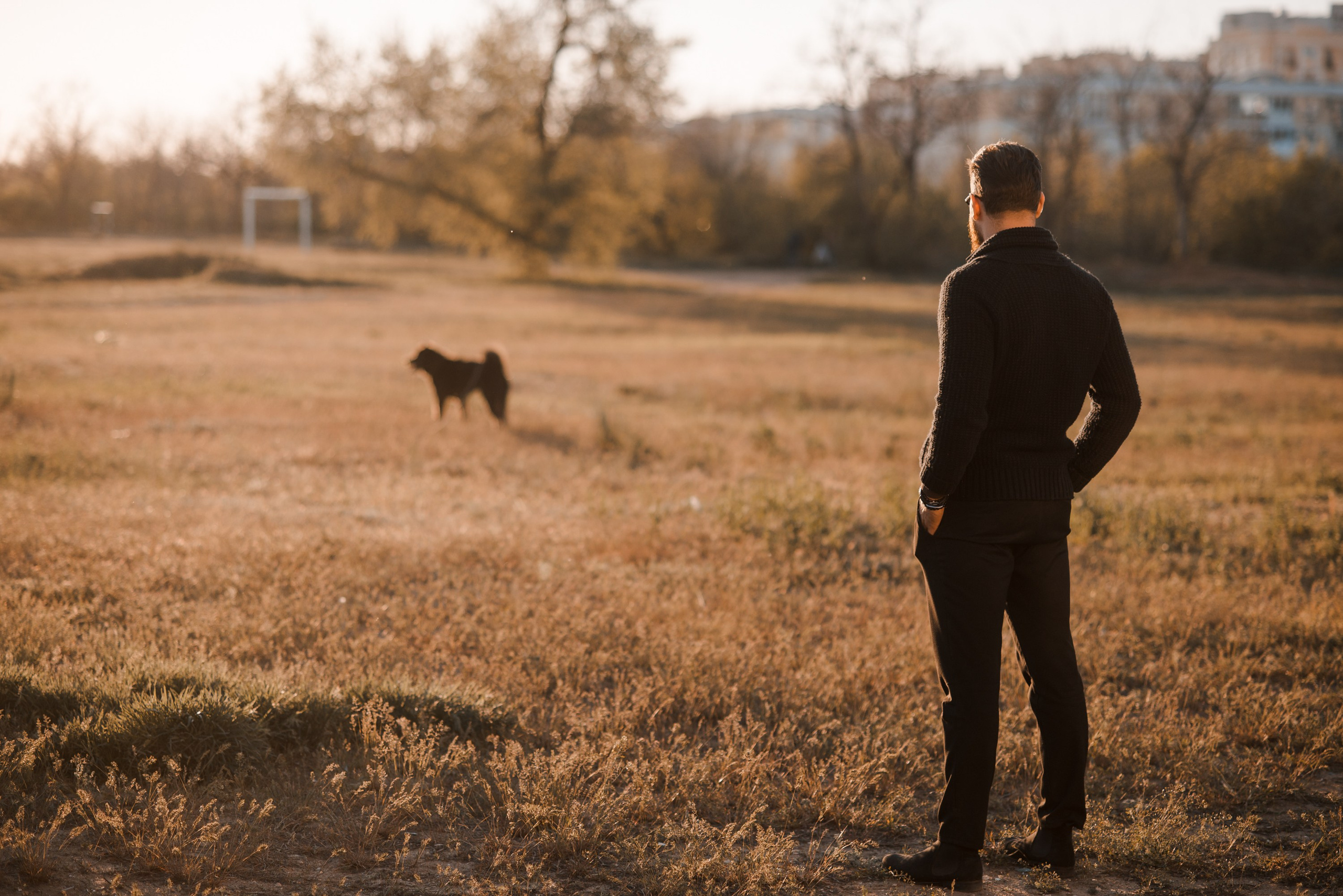 Ярослав. Главная