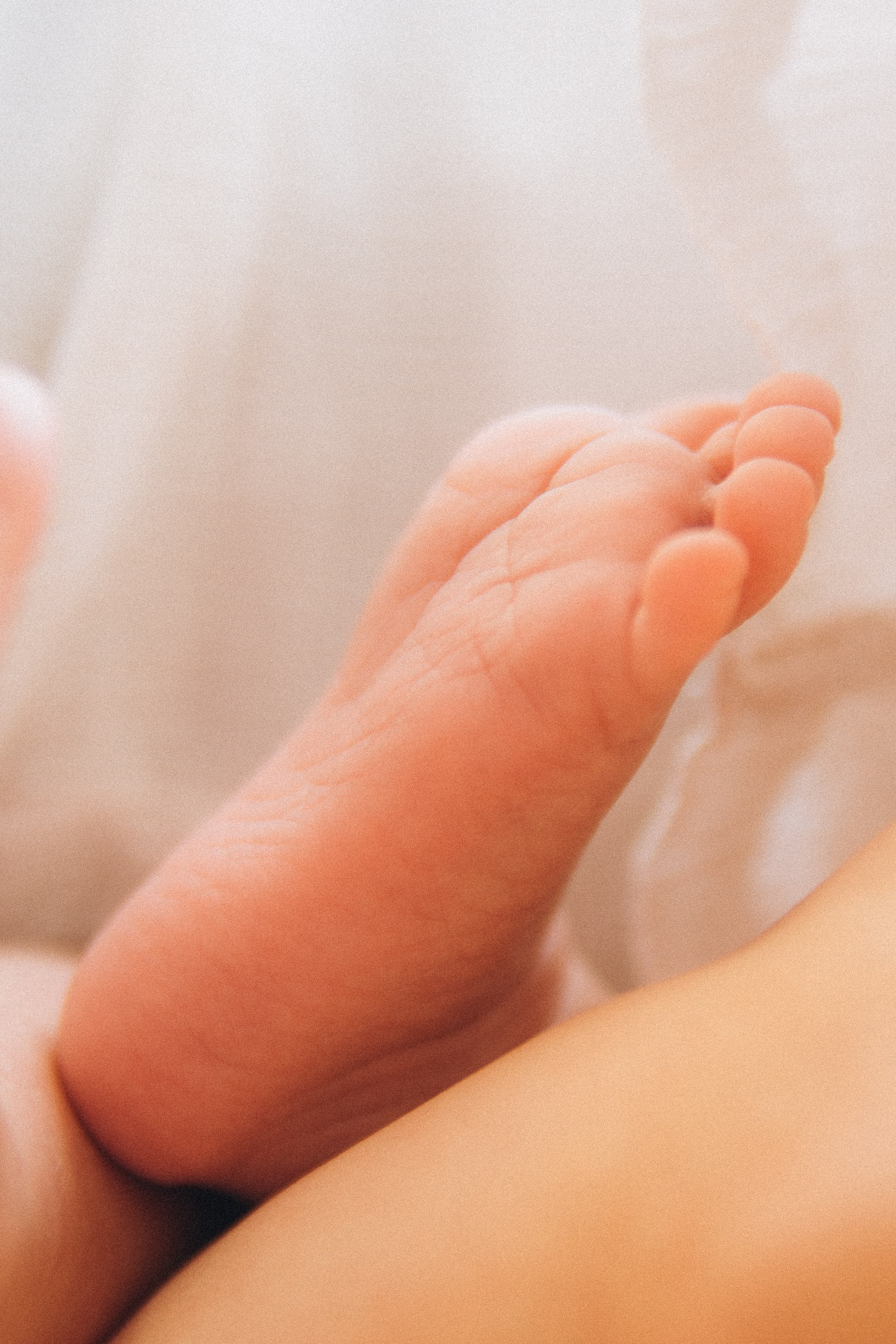 Séance newborn Sasha. Photographe des familles et enfants à Nantes et alentours
