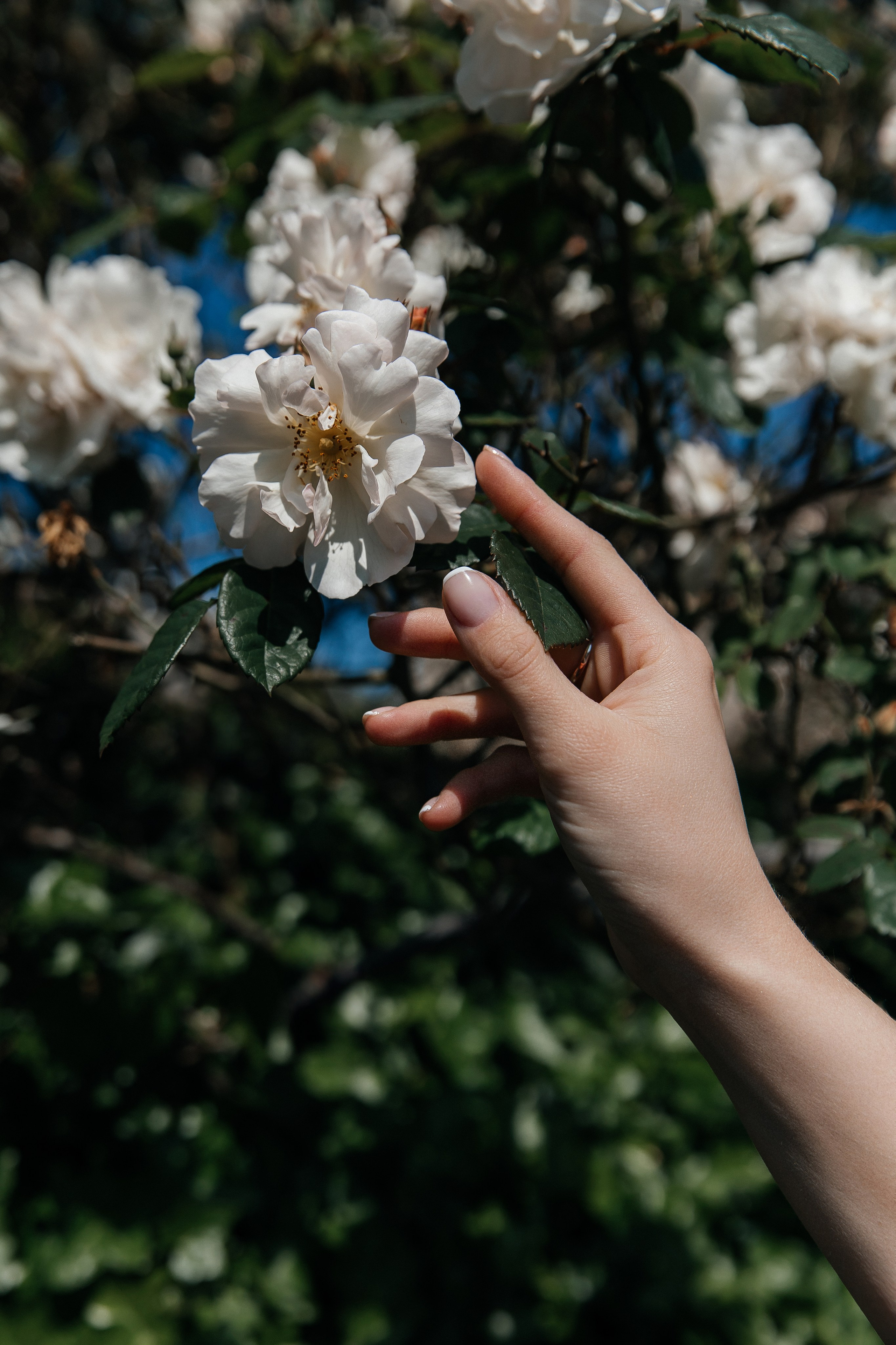 Photo/Cr.Dir.: @jehlersphotography. Retusher Maryia Buhai