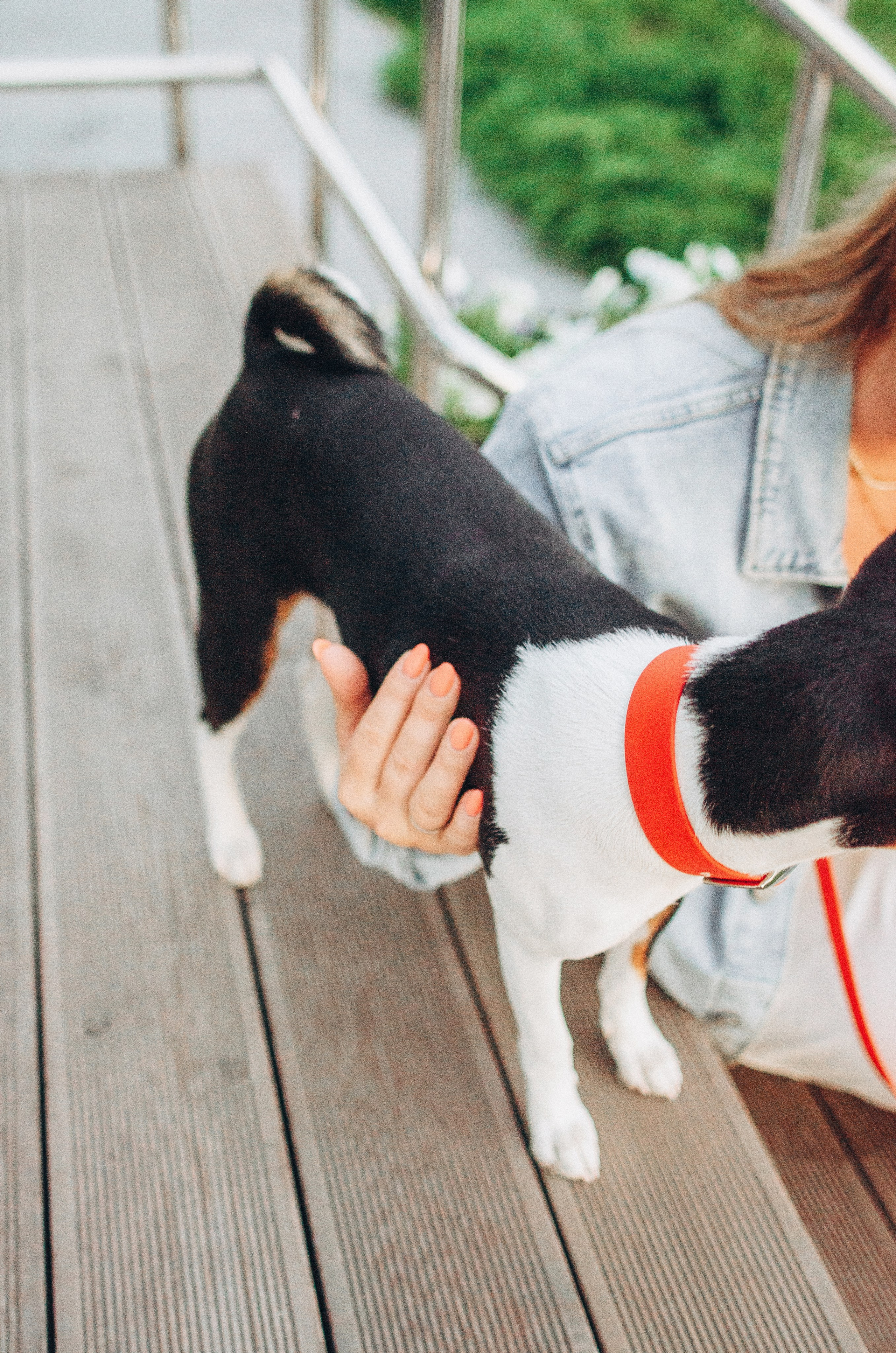 Лена, Никита и Эсма. Фотограф-анималист Богданова Полина