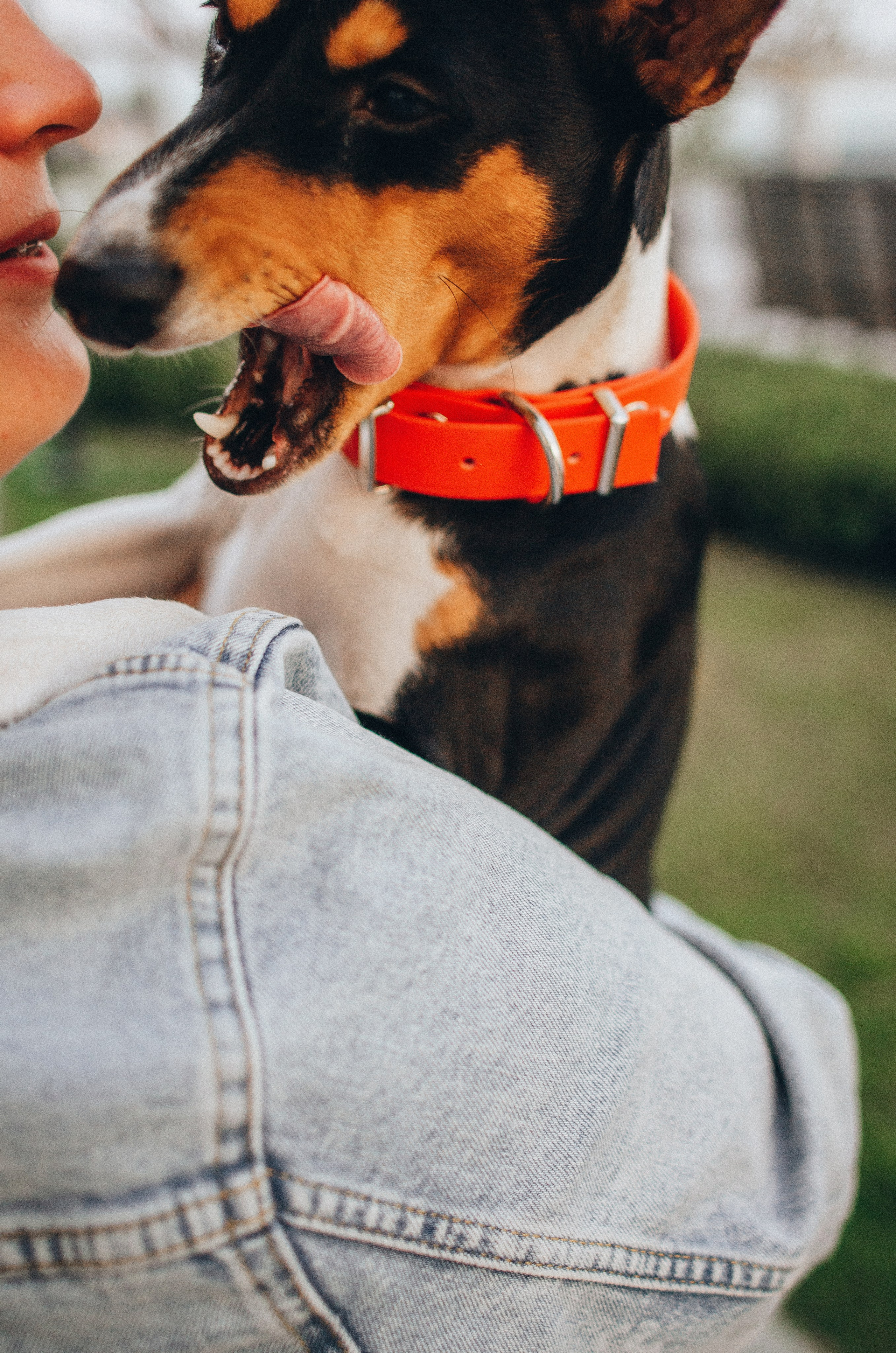 Лена, Никита и Эсма. Фотограф-анималист Богданова Полина