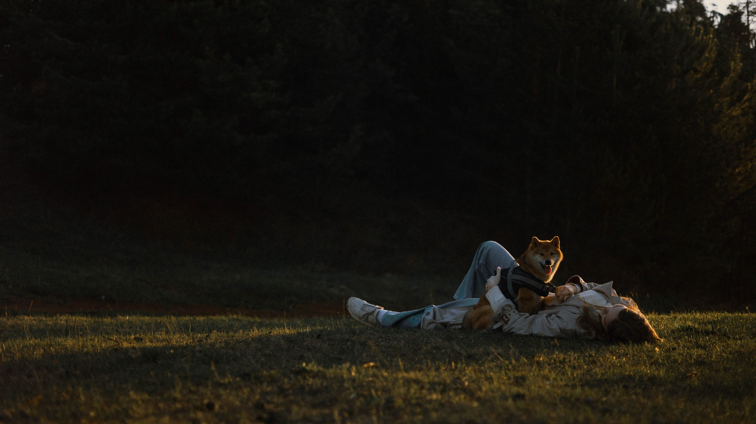 Аня и Шани. Фотограф-анималист Богданова Полина