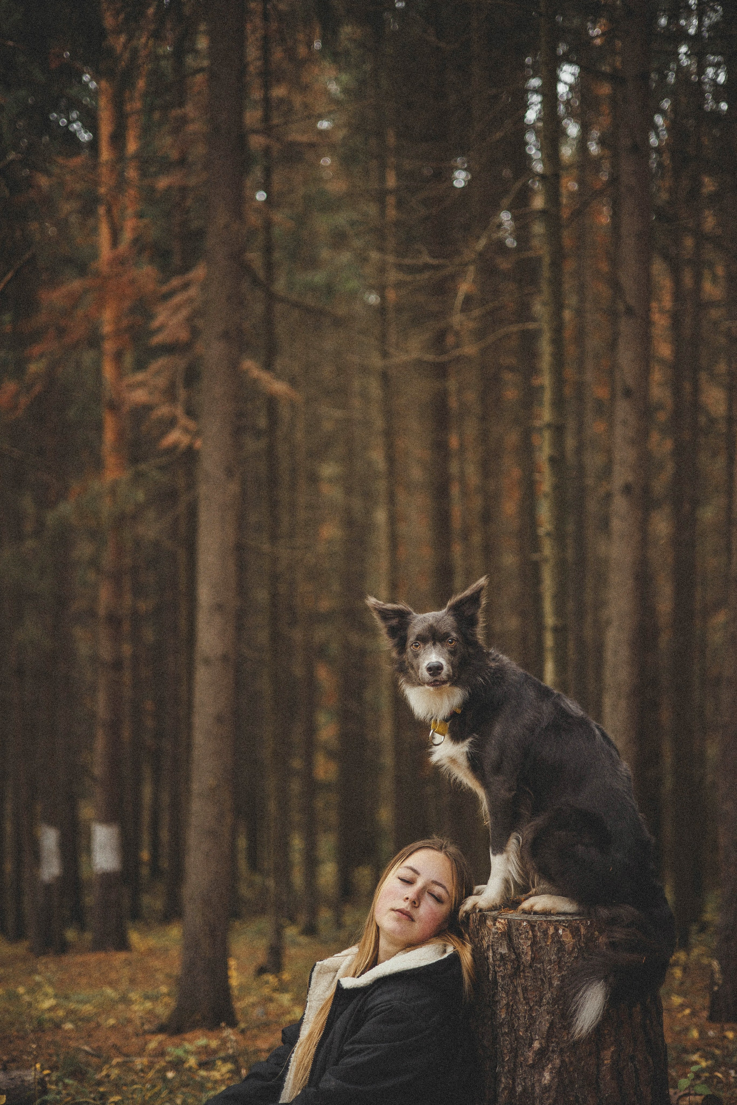 Даша и Дже. Фотограф-анималист Богданова Полина