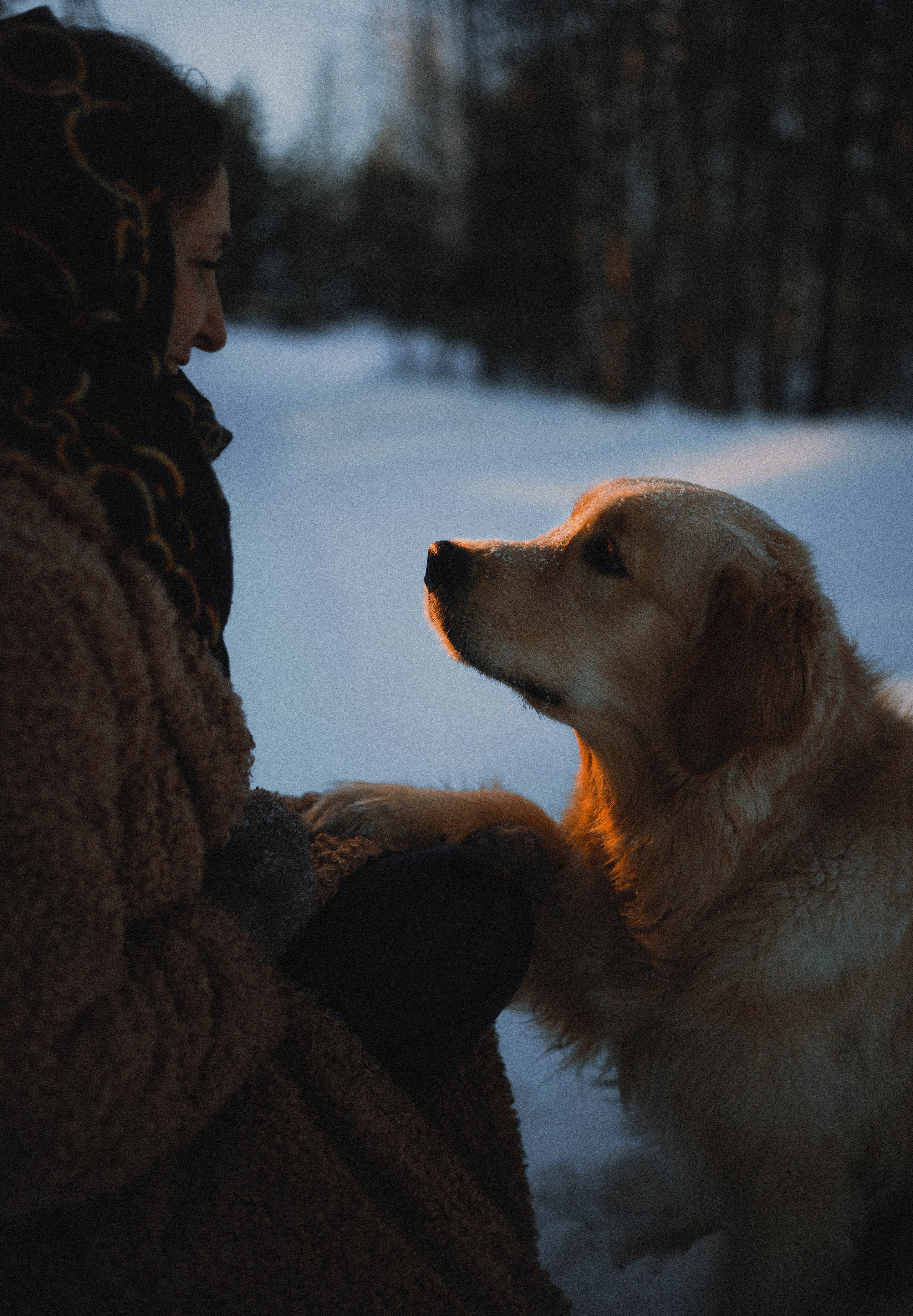 Лена и Декстер. Фотограф-анималист Богданова Полина
