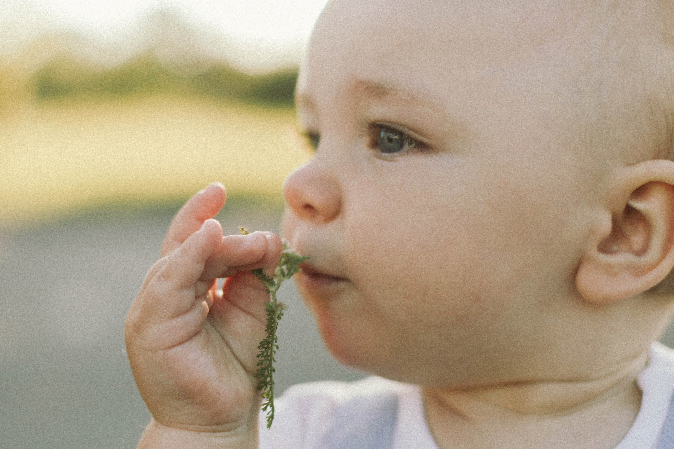 Семейные съемки