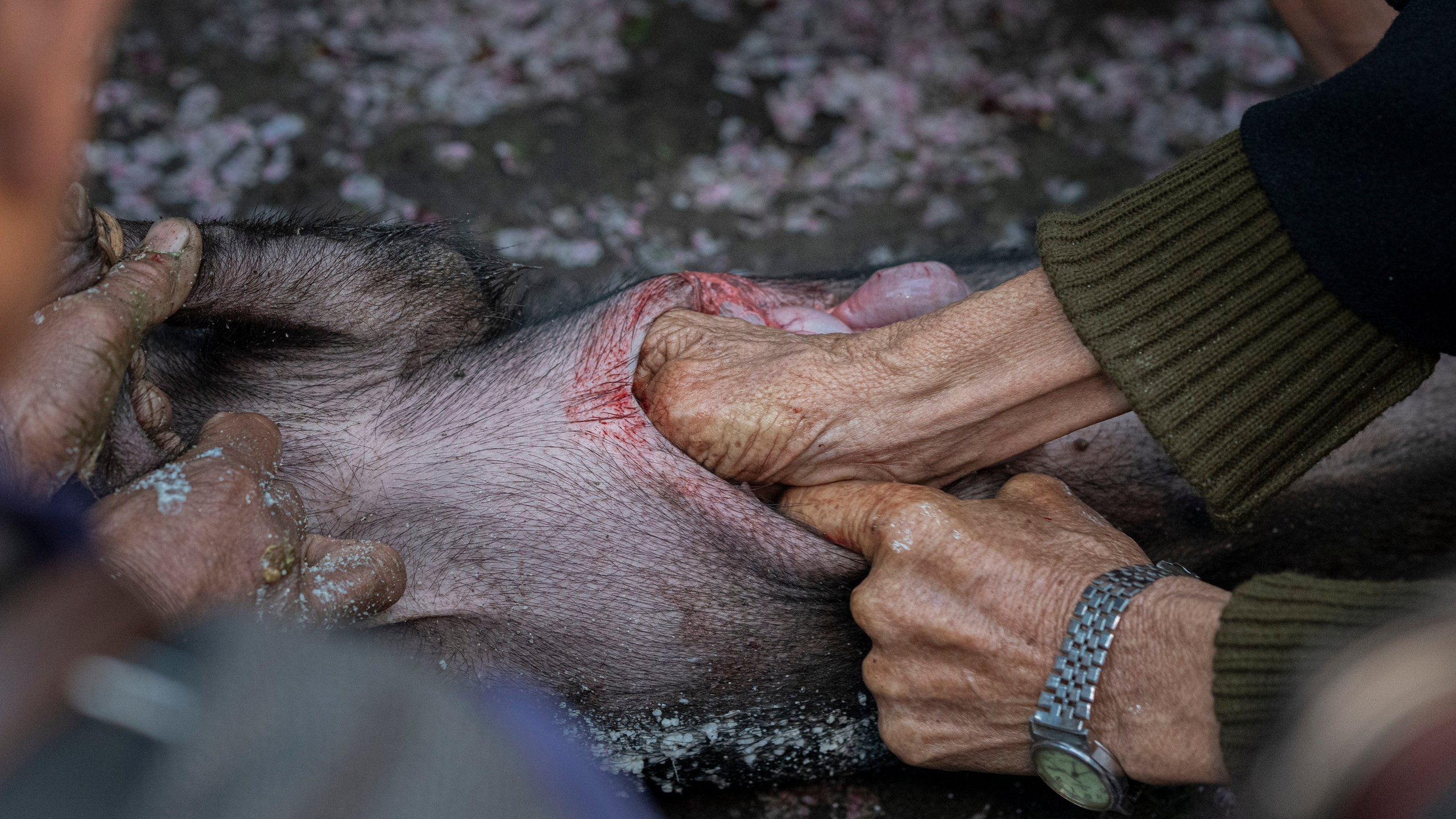 India travel. Фотограф Сергей Танков