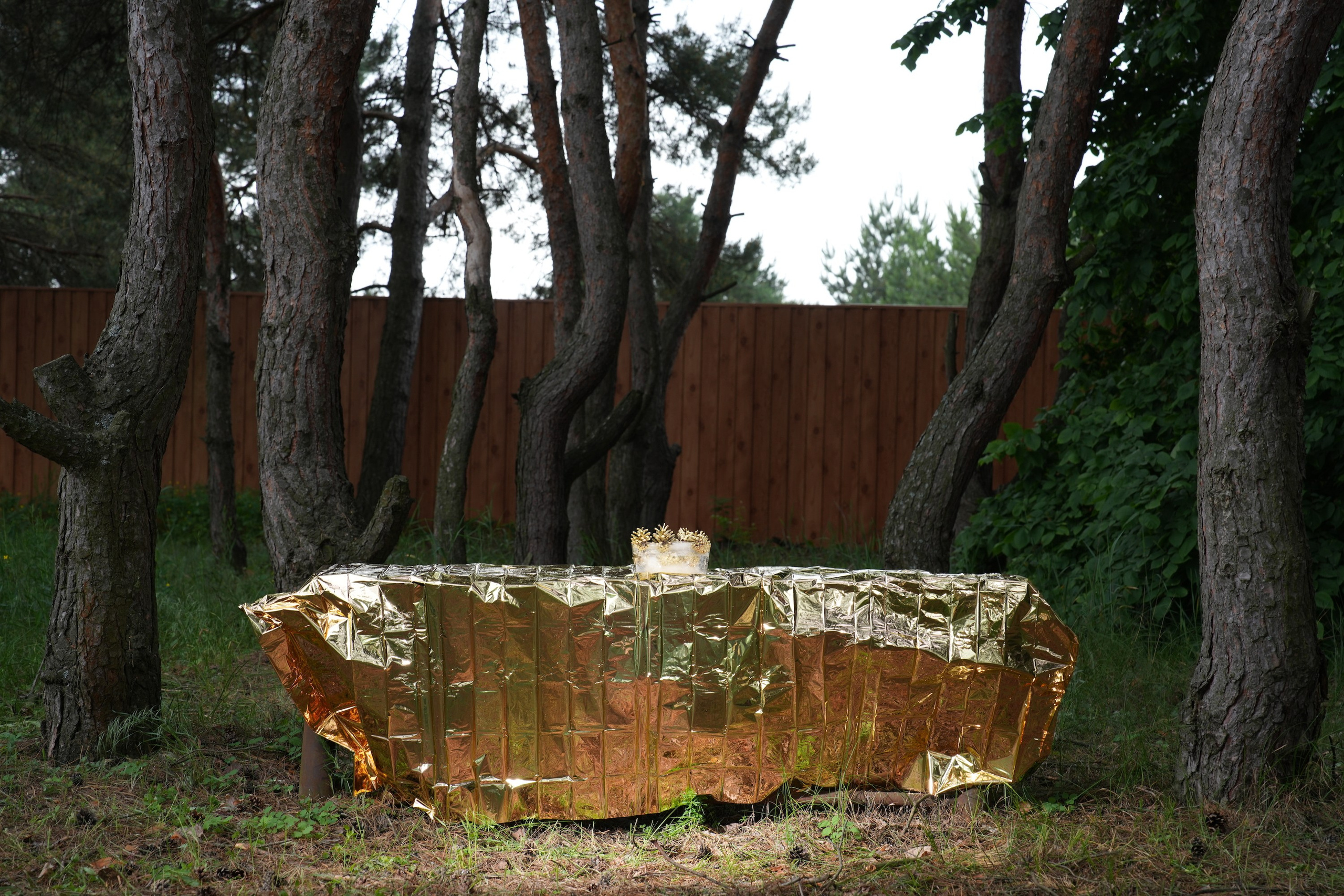 Фотограф Максим Бут, изобразительное искусство. Принт в продаже. Fine Art. 