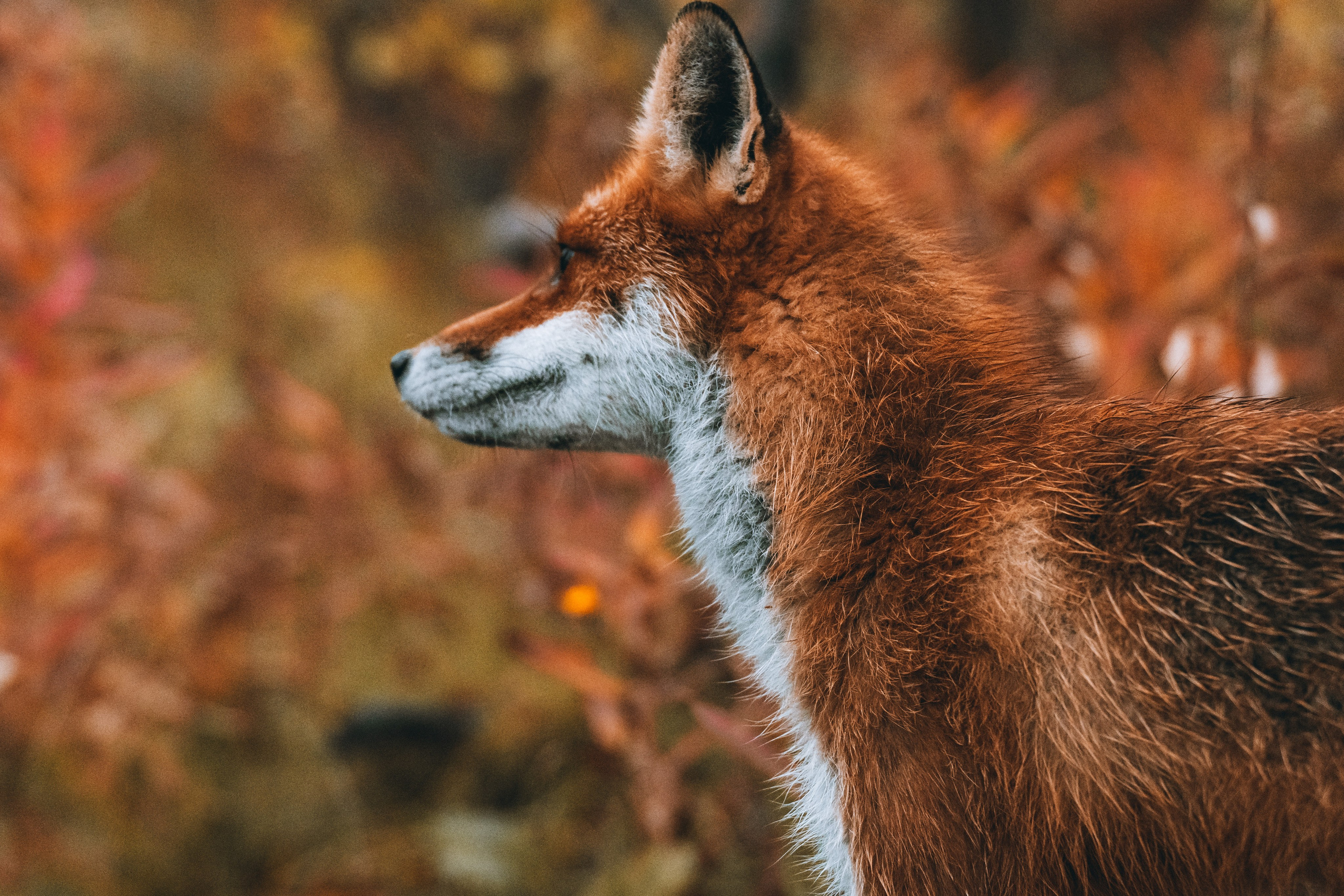 СЕВЕР. Event фотограф Степанова Александра