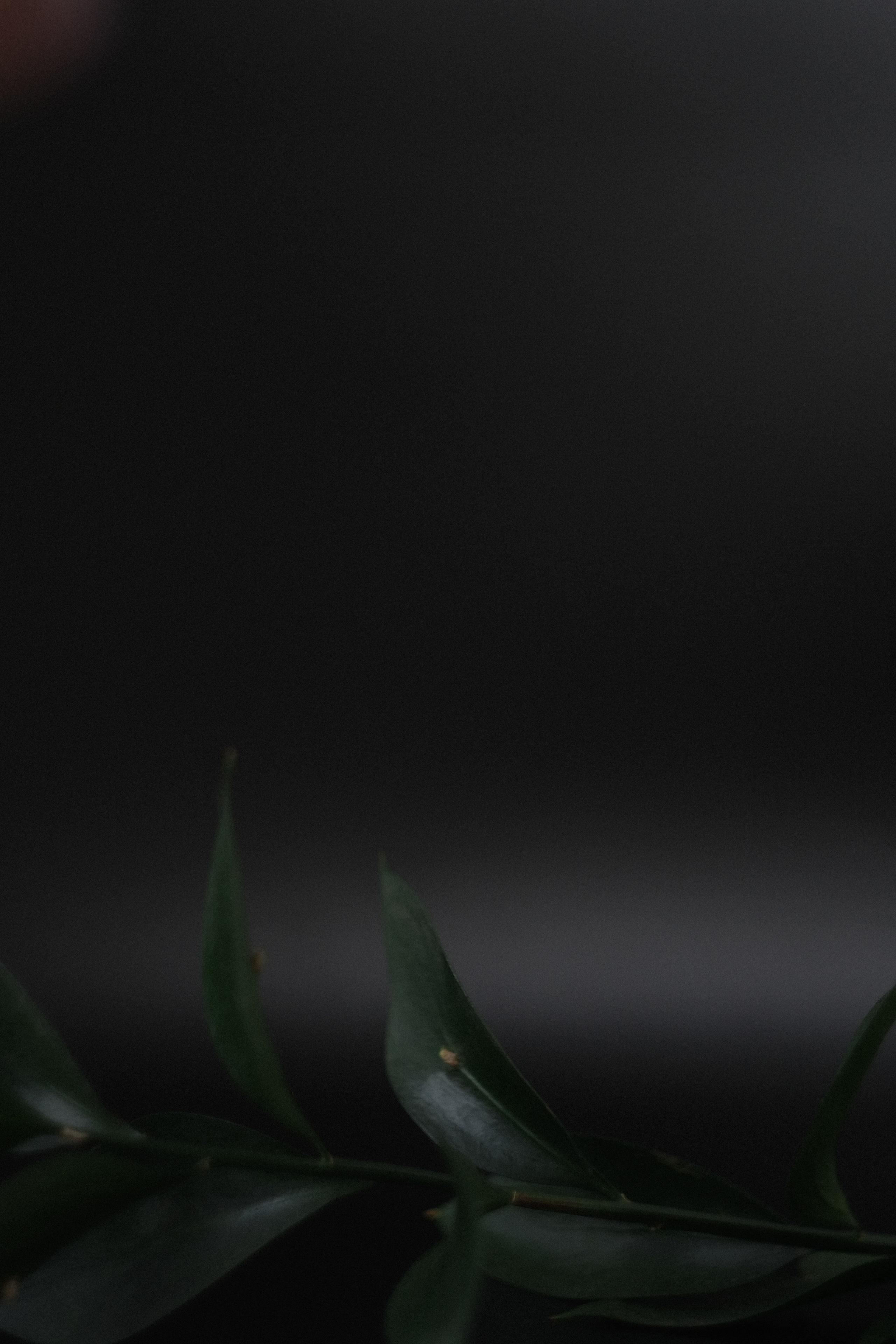 Предметная съемка. ВИДЕОСЪЕМКА И ФОТОСЪЕМКА МОСКВА