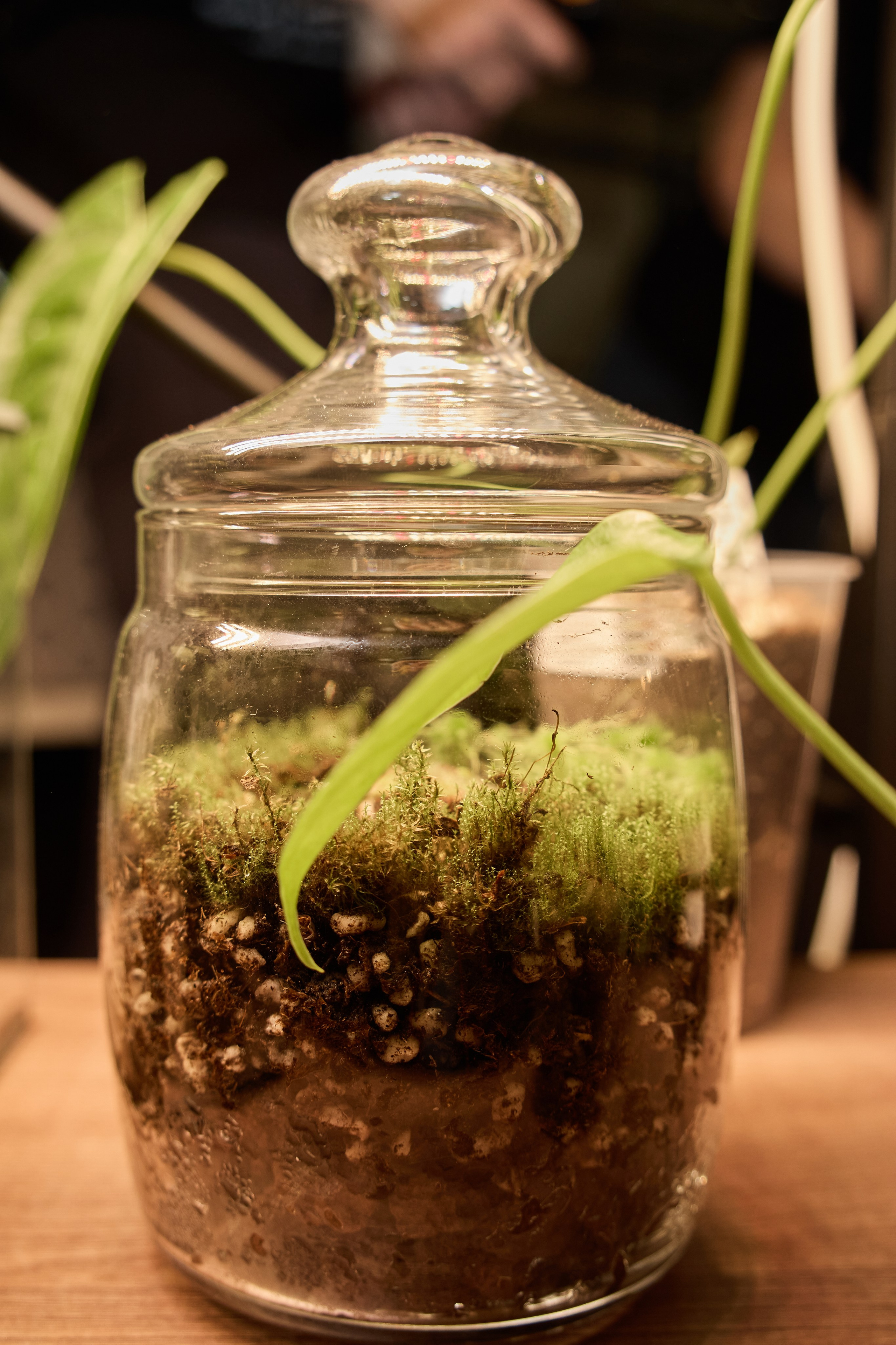 Цветочная ярмарка