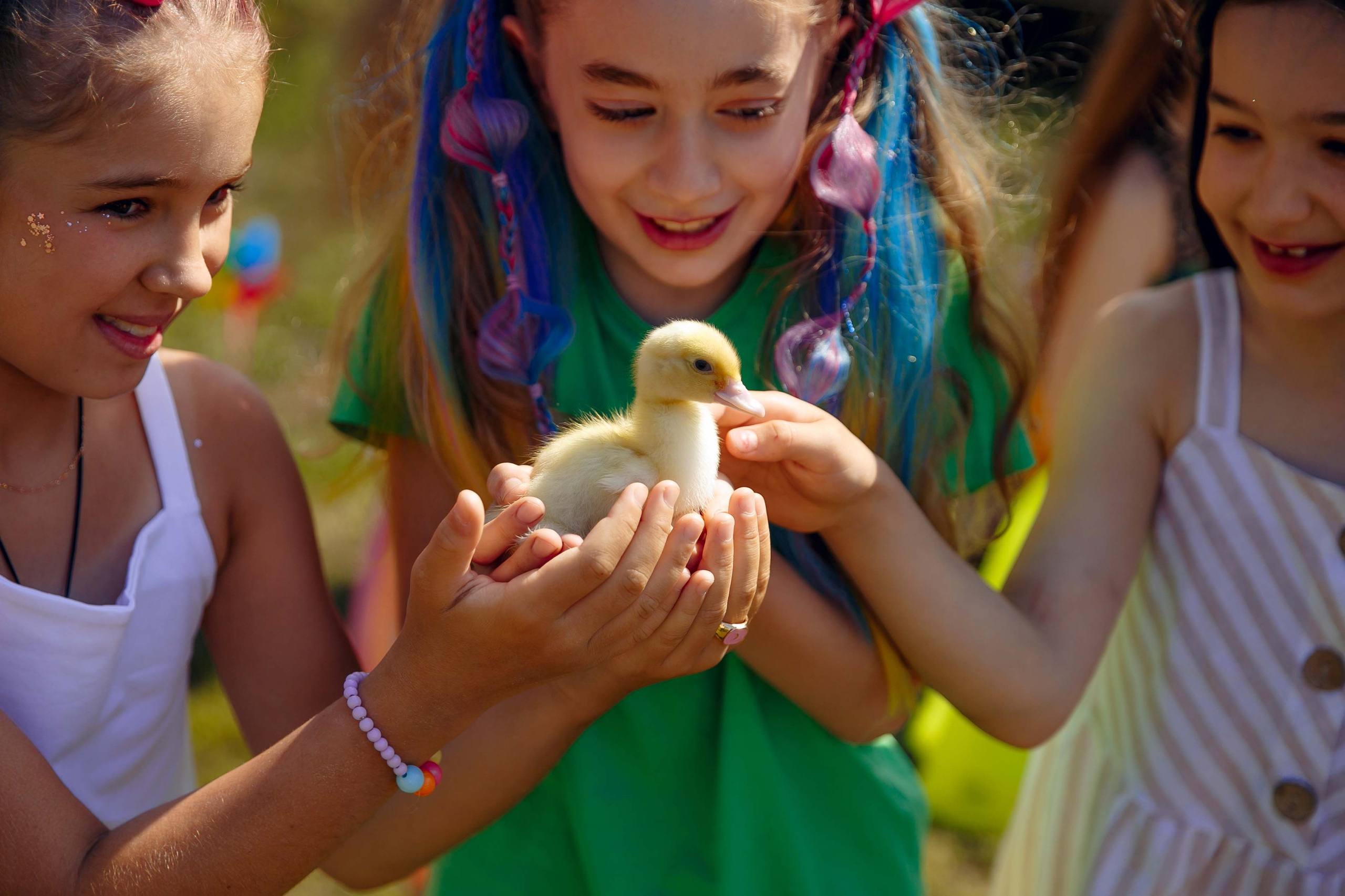 День рождения на природе. Ваш репортажный фотограф Артемий Антонов