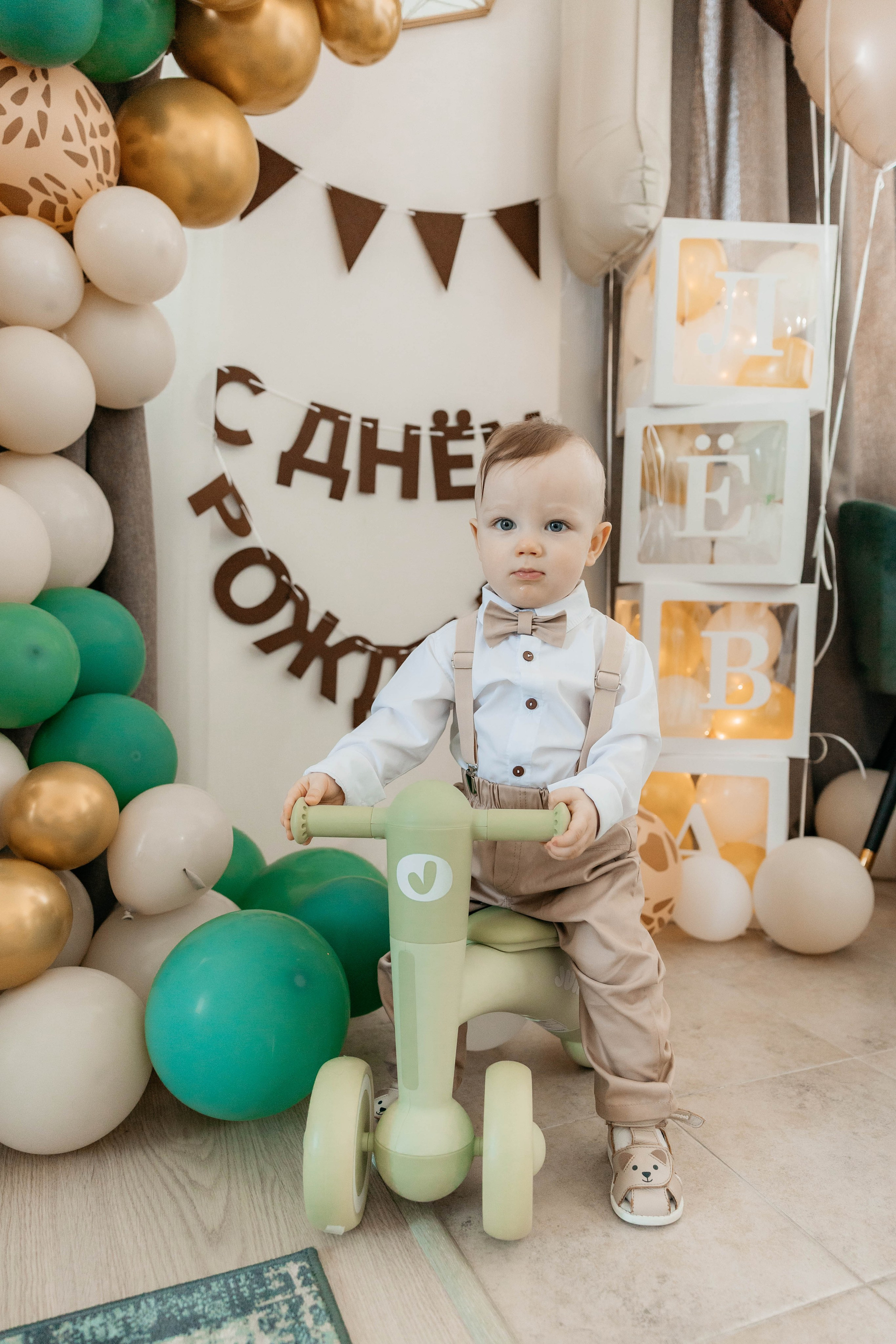 Лев. 2024 г. Персональный фотограф Катерина Литвинова