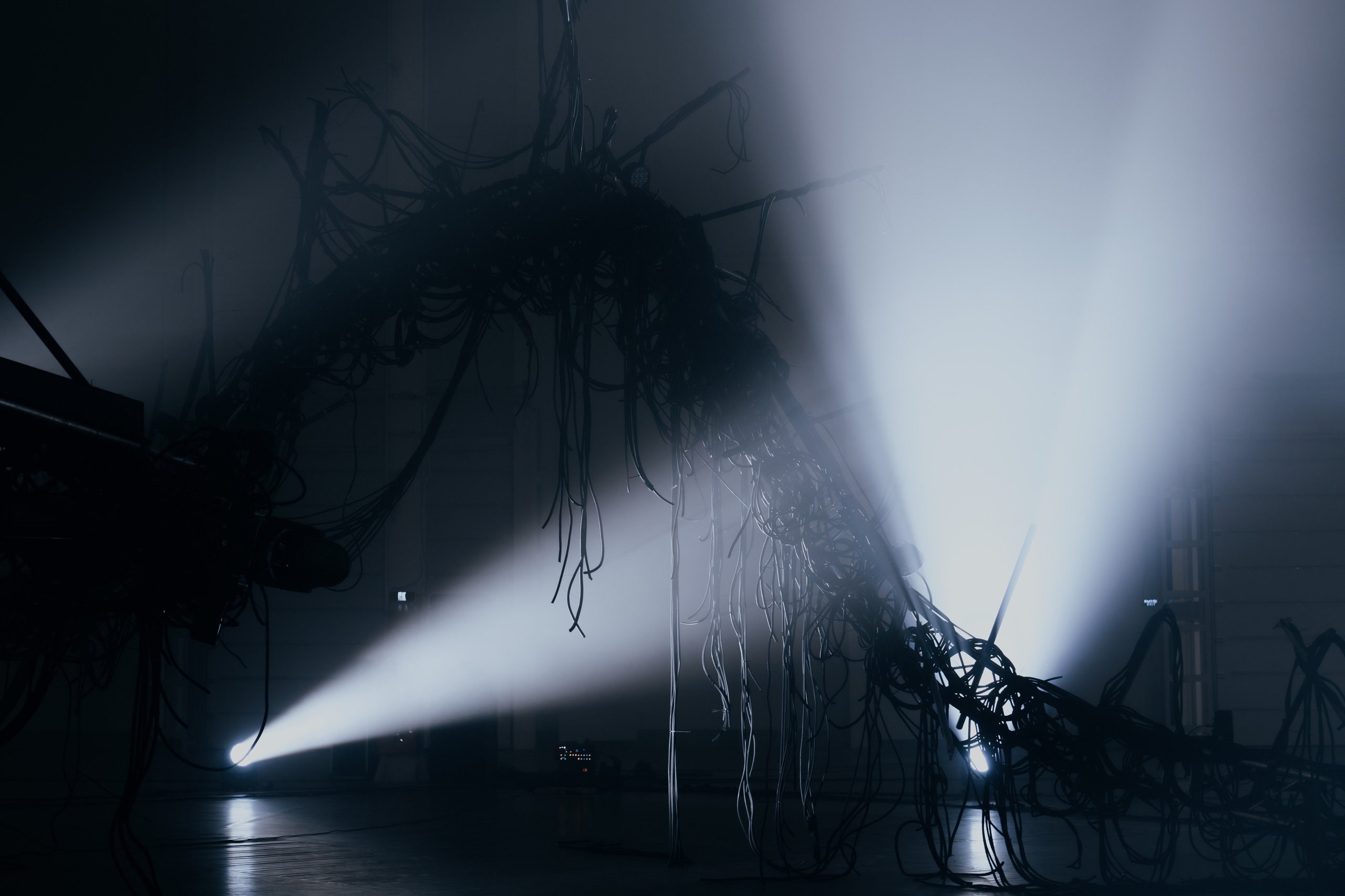 PANTERRA, CHRONOMORPH 001. @tomrus: Рустам Шагиморданов — фотограф