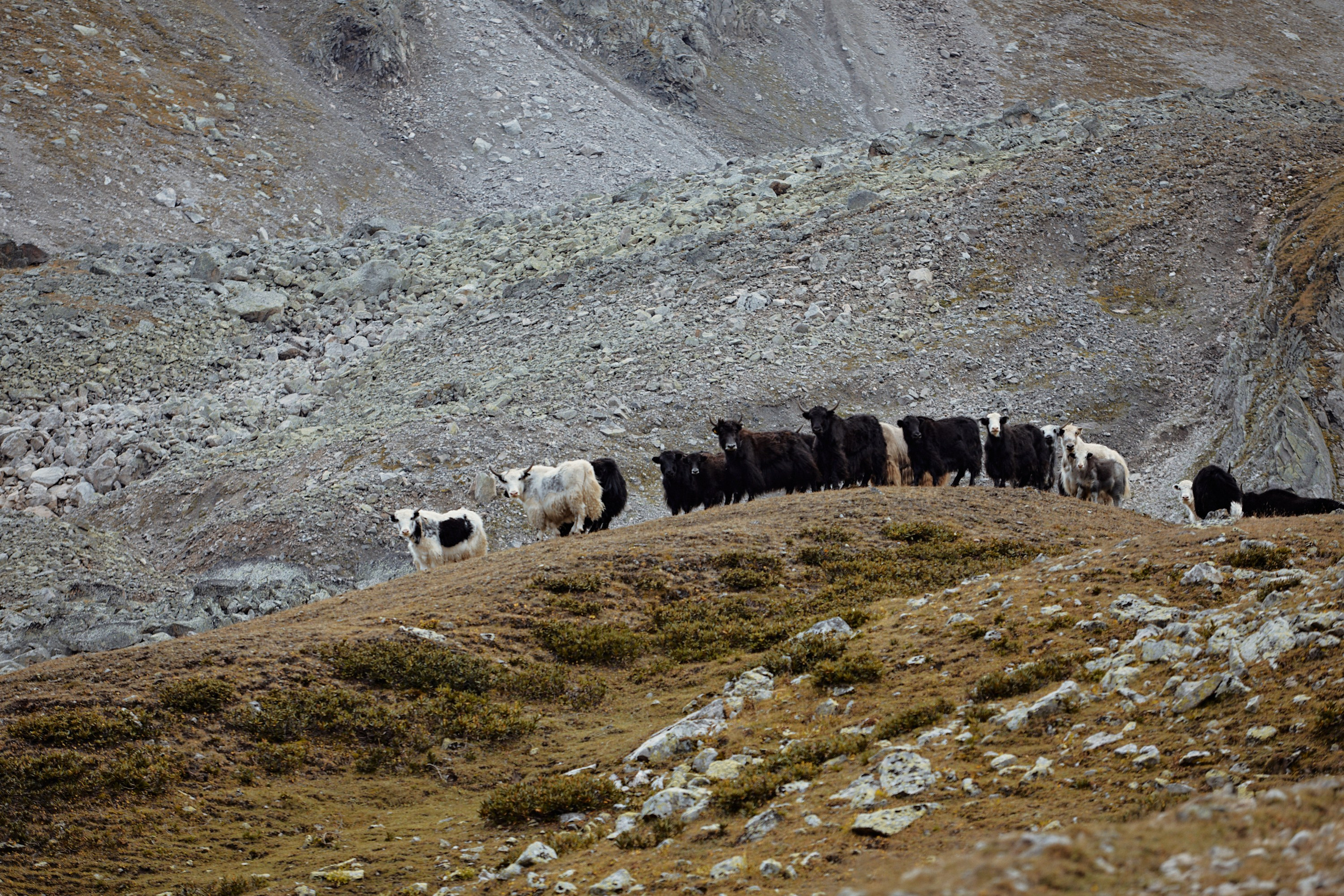 Озеро Гийбашкель. Фотограф Продюсер в горах КБР / Москва  Нальчик Горы