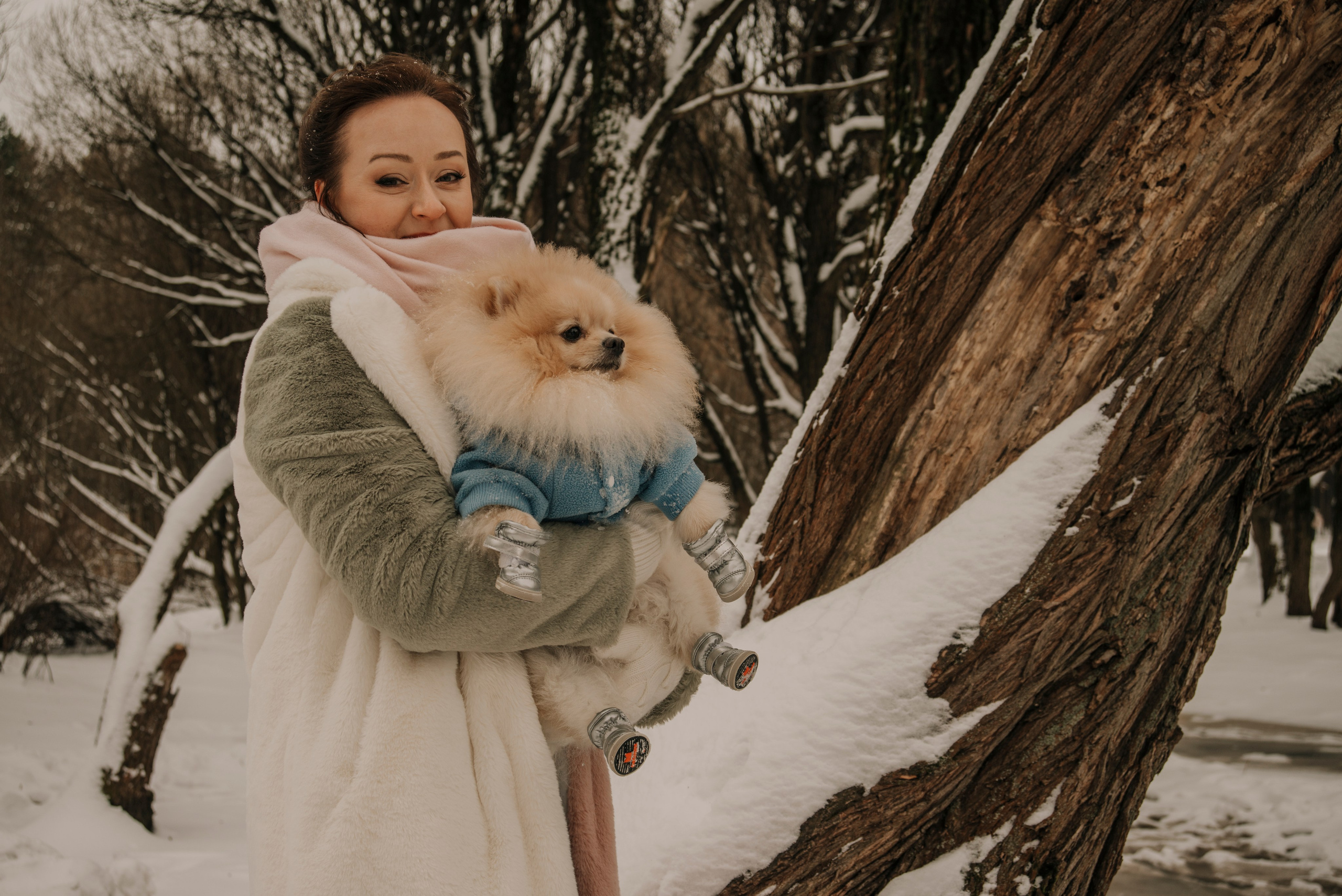 Фотосессия с собакой на фоне дерева в зимнем парке