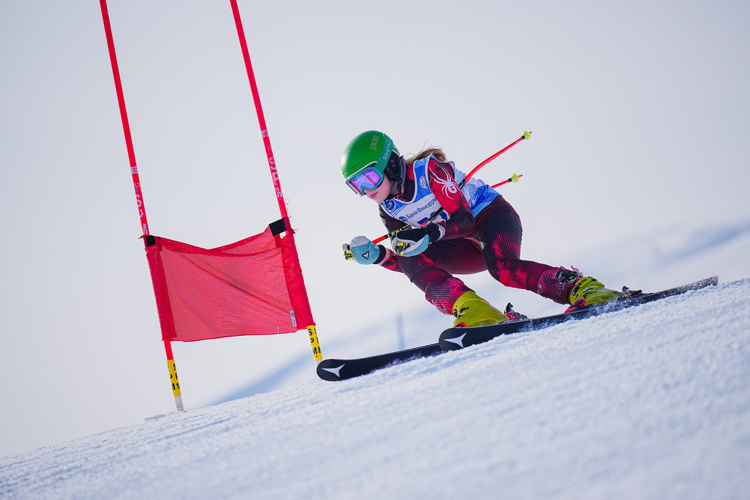 GS (Giant Slalom) - Слалом-гигант. Соревнования по горнолыжному спорту. Московская область, Шуколово