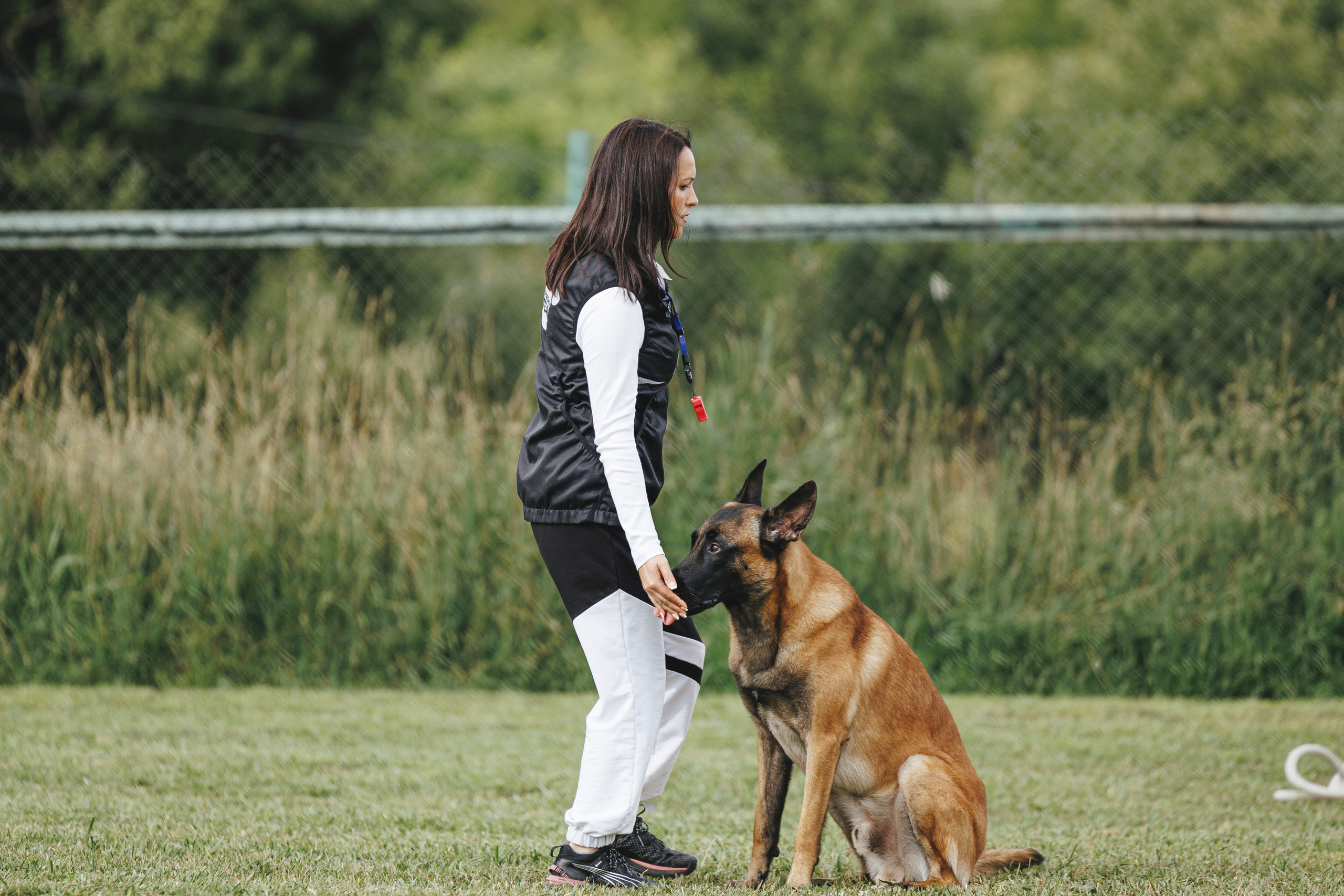 08.08.25-10.08.25 ЧР по мондьорингу г. Вологда. Фотограф-анималист Анна Маринич