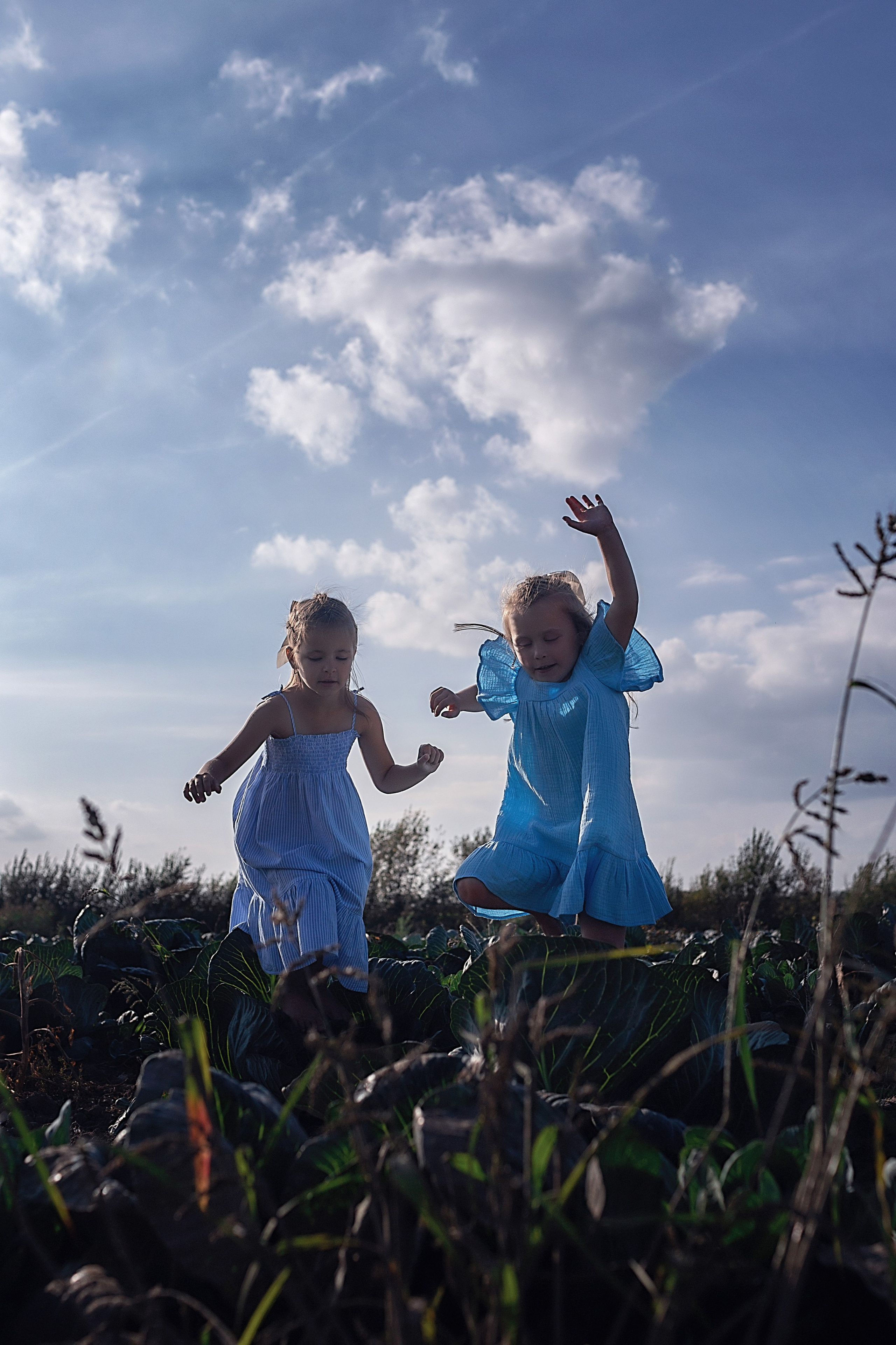 Капустное поле_Ленинградская область. Семейный фотограф в Санкт-Петербурге