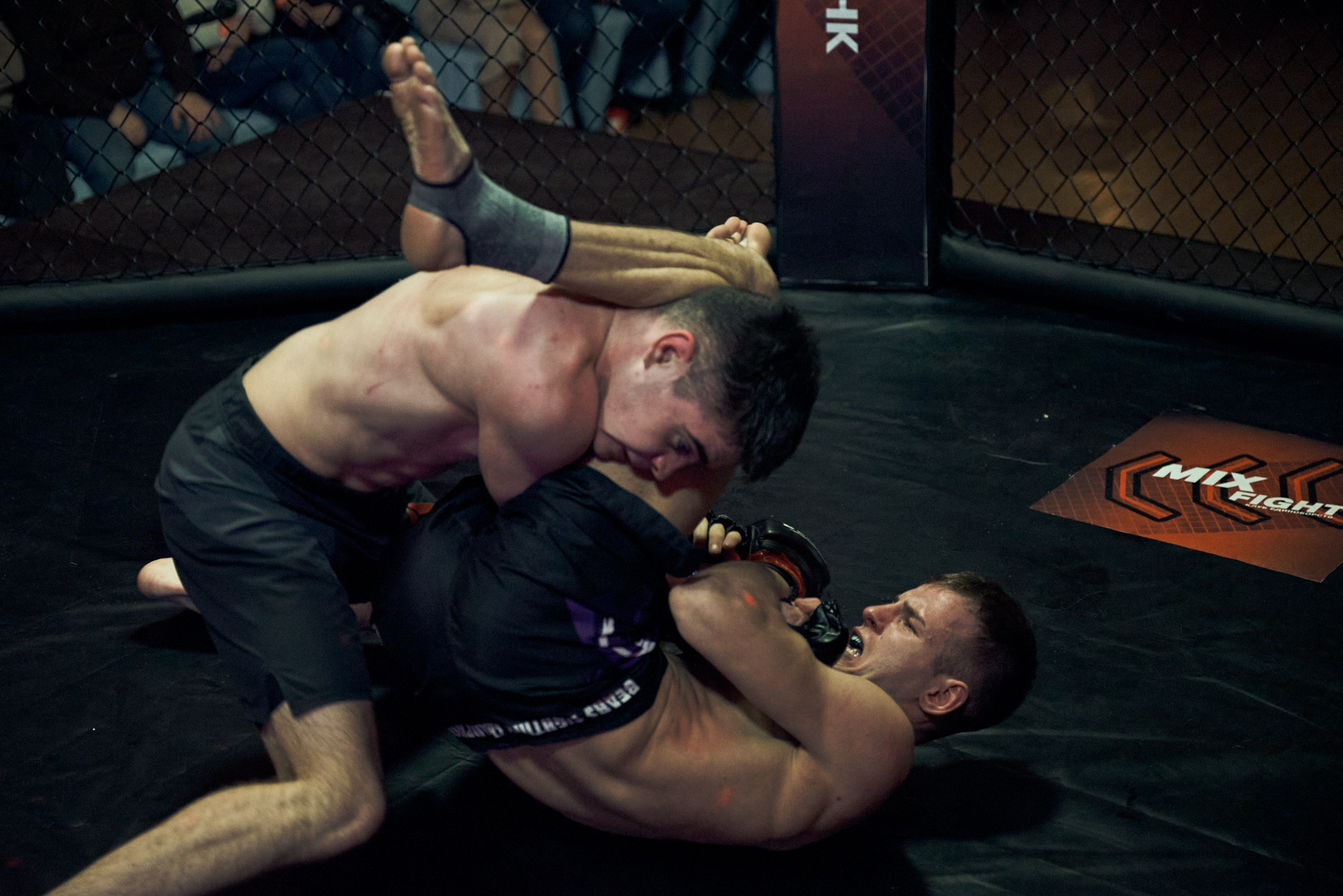 Бои. Маляревич Дмитрий свадебный фотограф