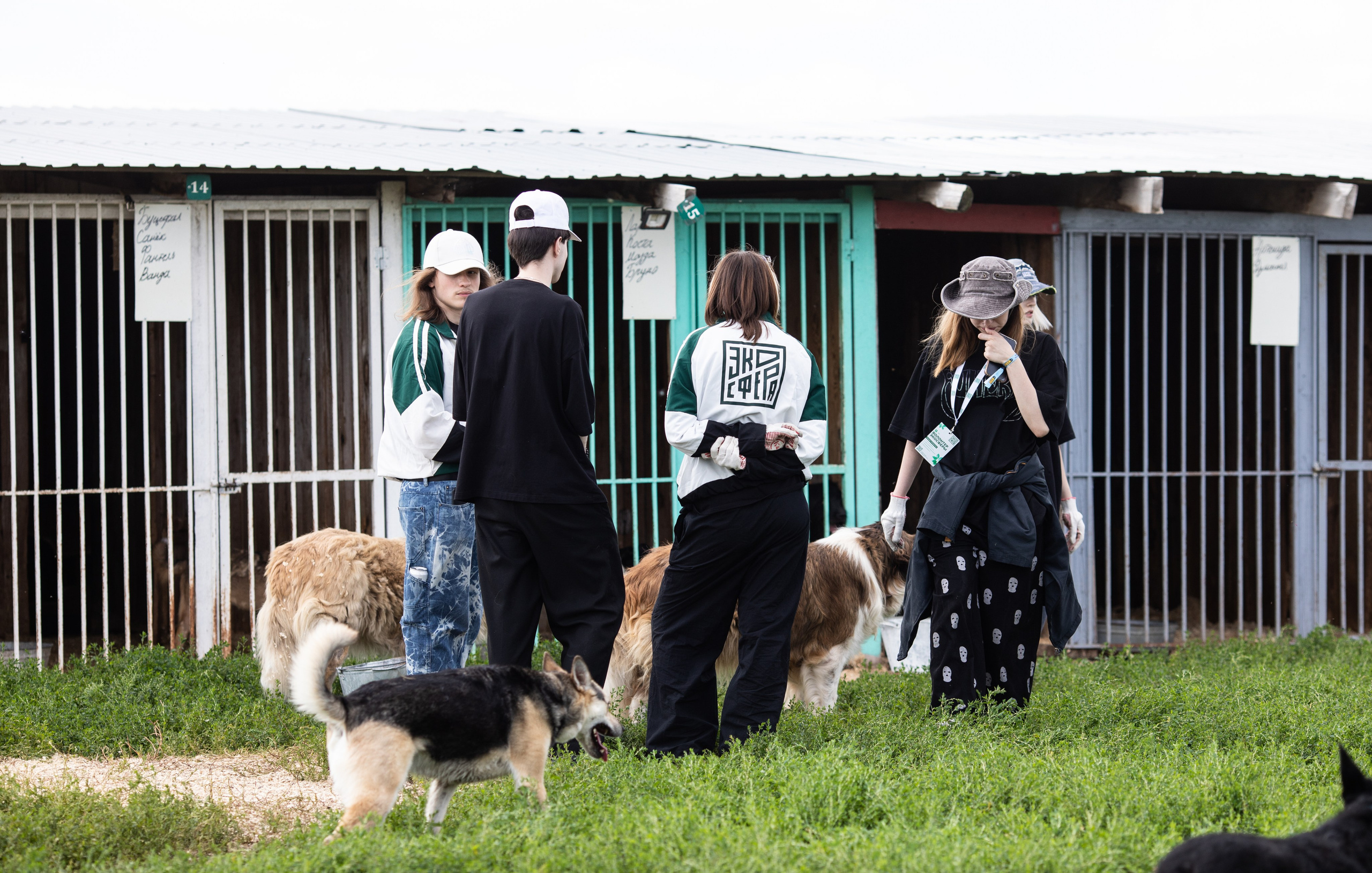 Приют — Наш дом. Репортажный и свадебный фотограф в Челябинске Елисеев Павел