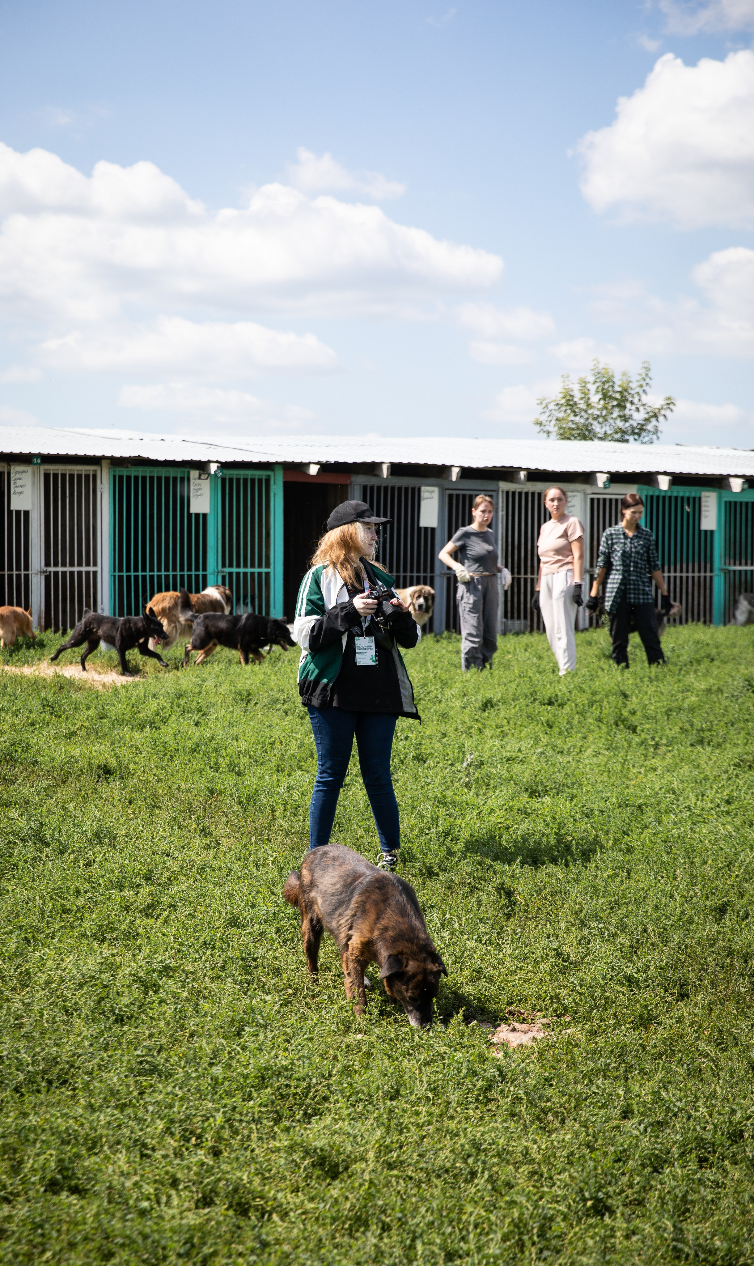 Приют — Наш дом. Репортажный и свадебный фотограф в Челябинске Елисеев Павел