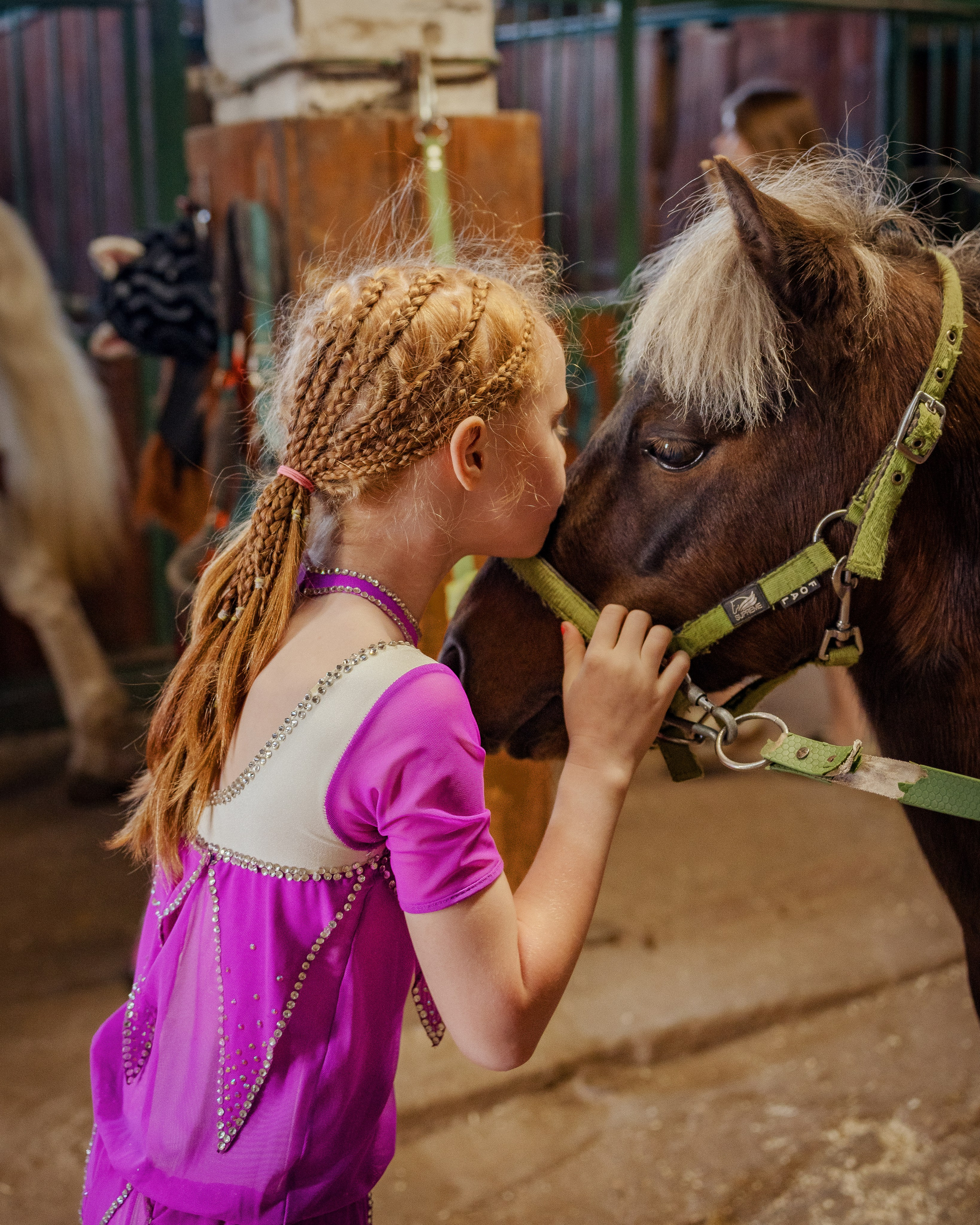 Конный клуб Горки. Портретный и семейный фотограф в Москве/Видное