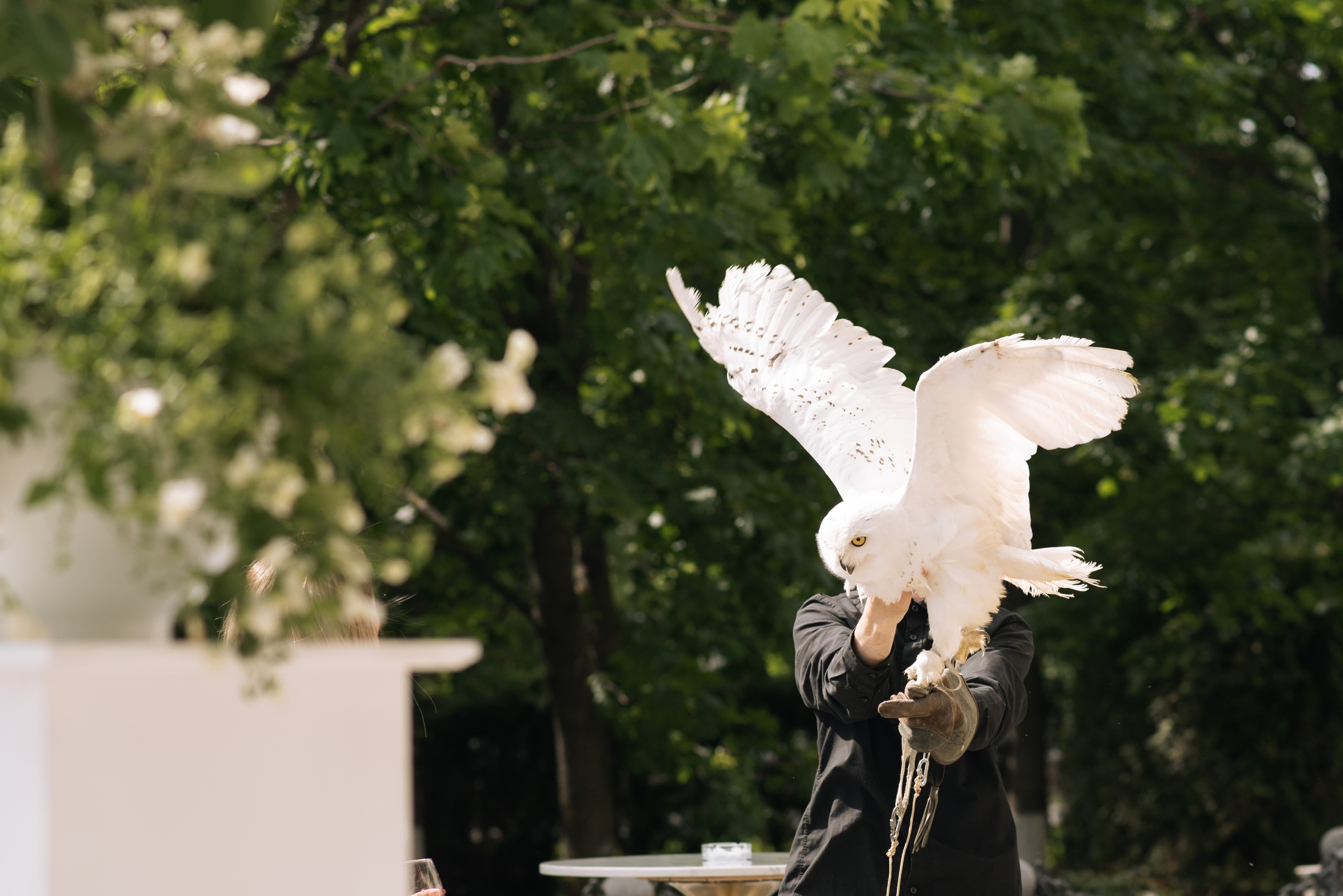 Свадебный фотограф москва. Свадебный фотограф Москва Истра Звенигород Нахабино