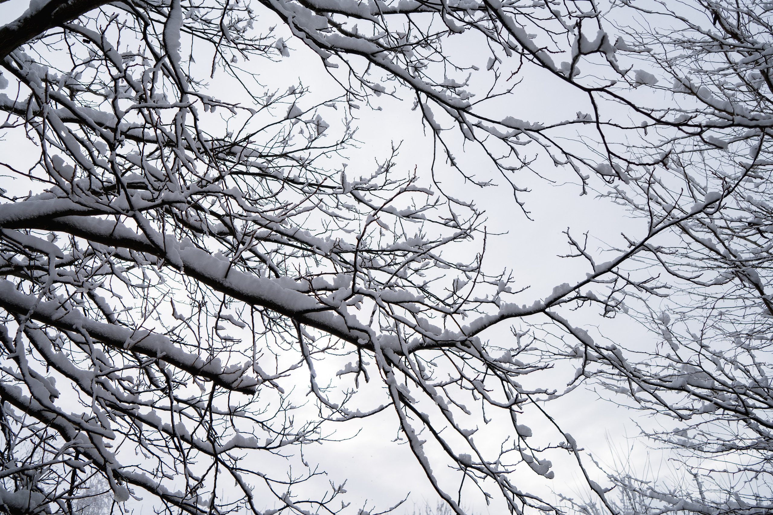 Зима 2024. Свадебный и семейный фотограф/видеограф в Краснодаре Наталья Осинская