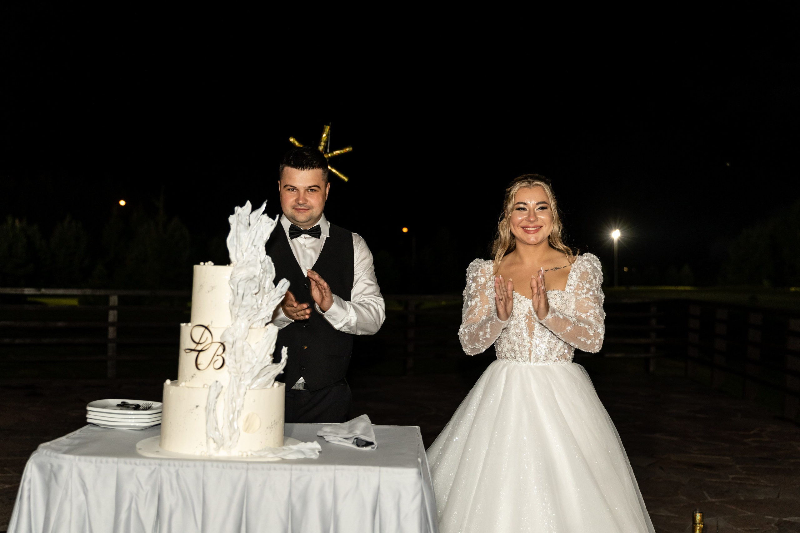 Дмитрий и Виктория. Татьяна Чернышова свадебный фотограф Москва