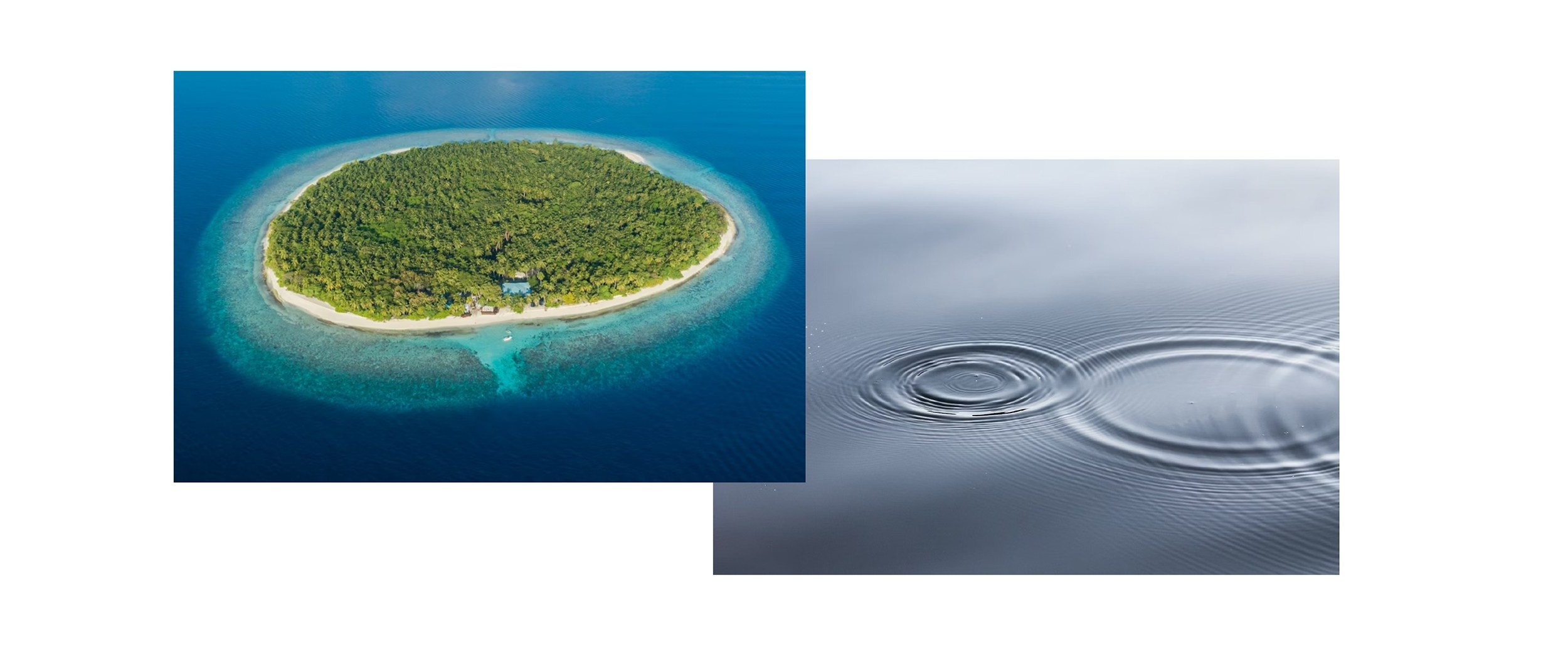 Айдентика АТОЛЛ. Foodcase.pro