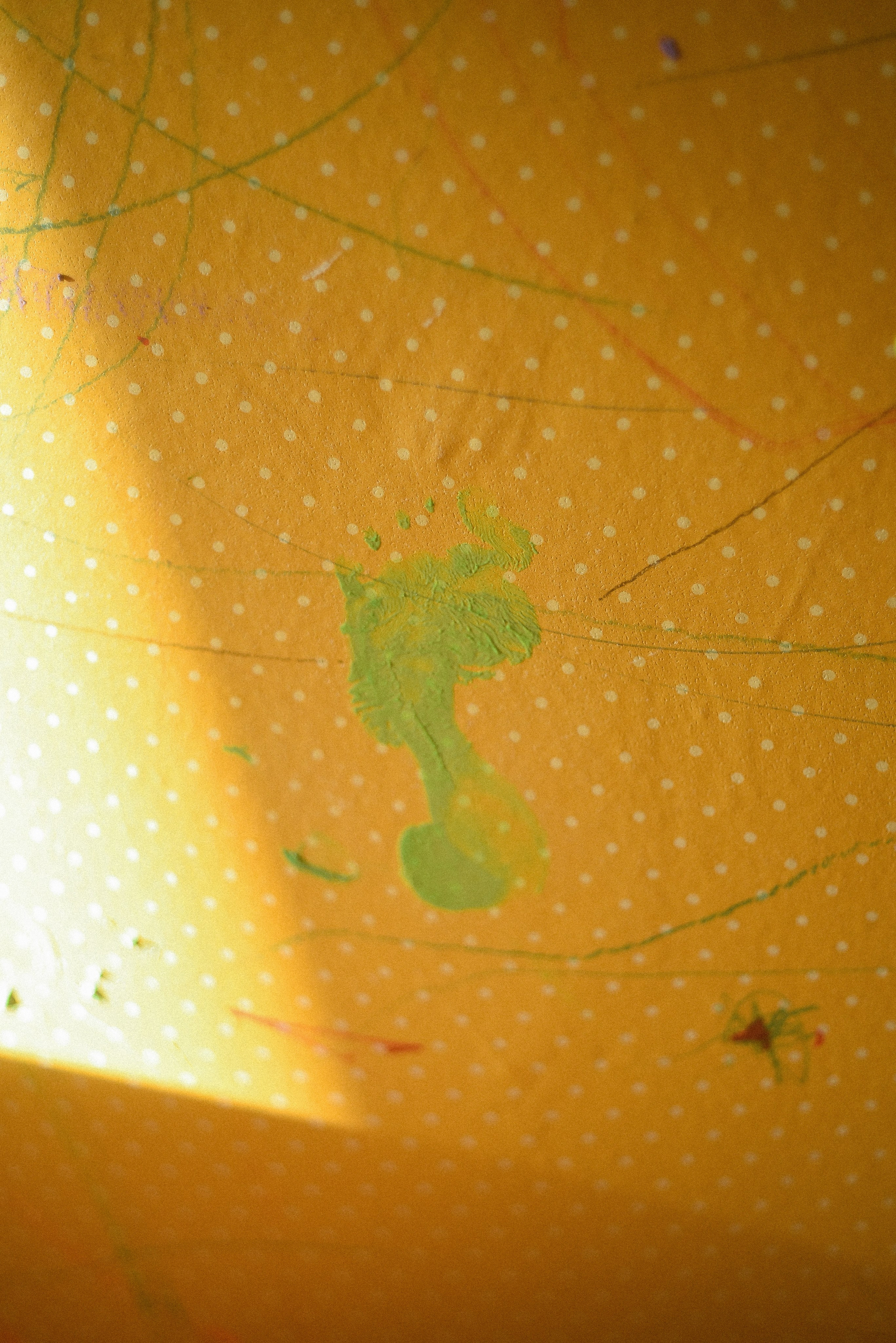 Квартира 99. Детский и семейный фотограф в Новосибирске Саша Дорошенко