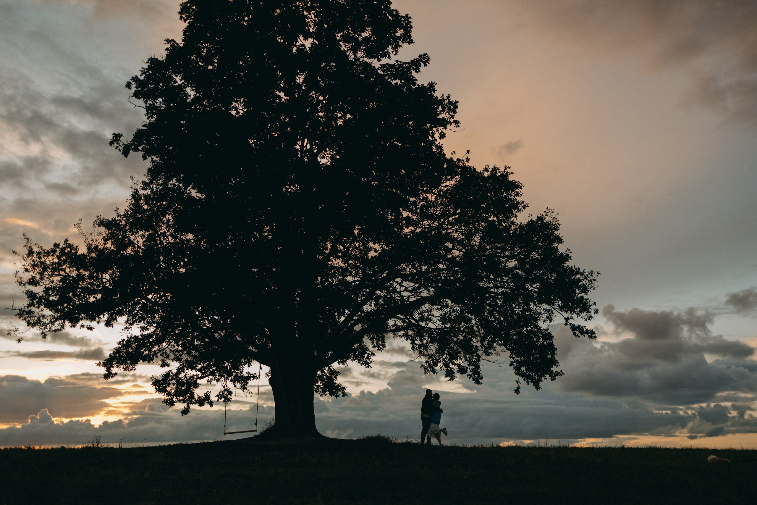 Стив и его семья. Фотограф — Анималист | Санкт-Петербург