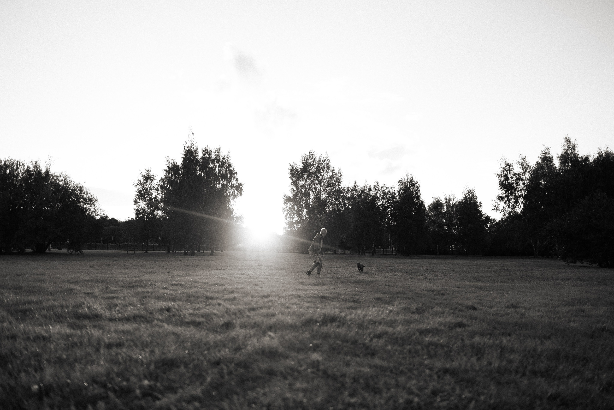 Елена и Хан. Фотограф и видеограф анималист Аганина Дарья